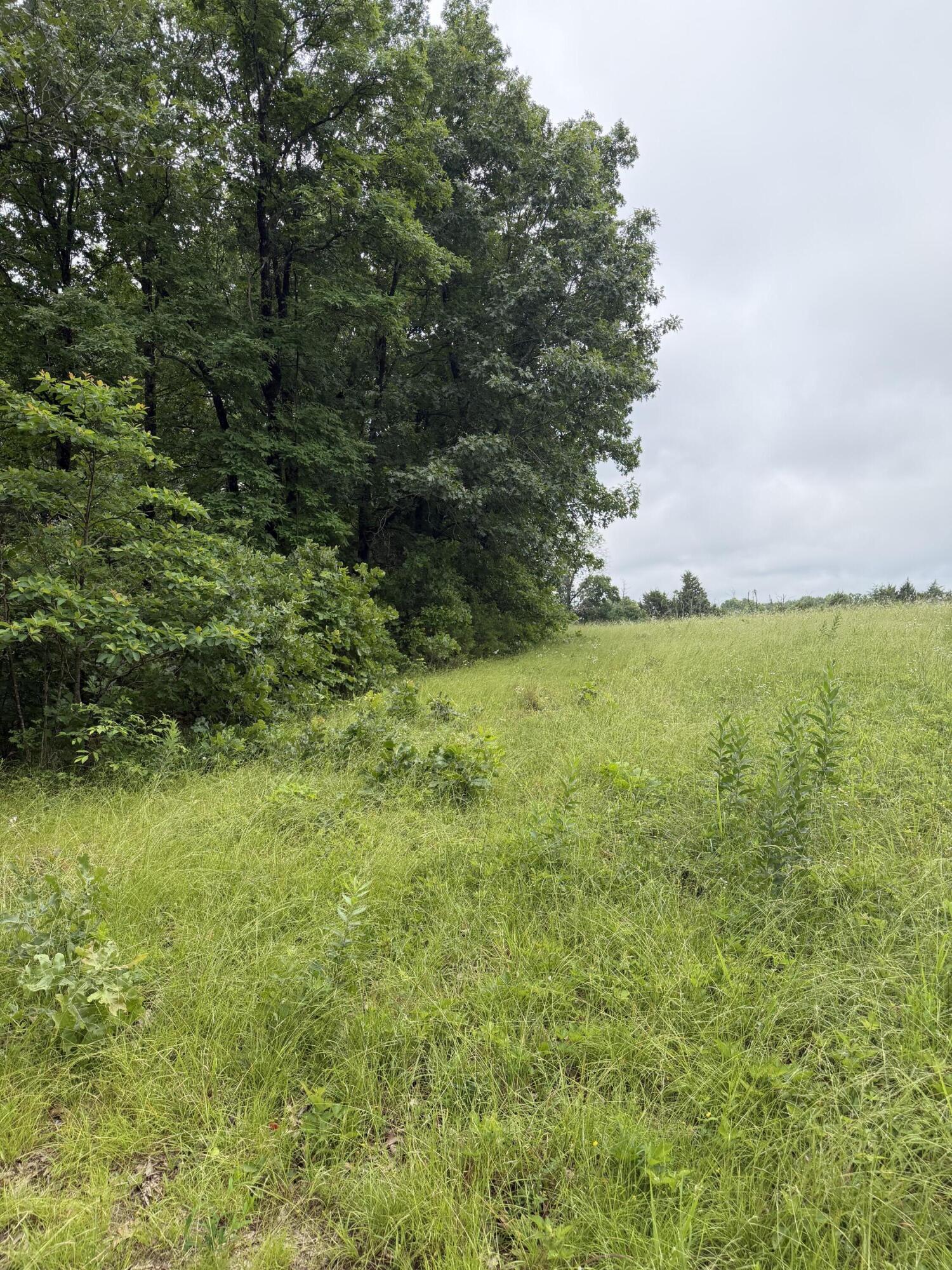 Photo 15 - Land for sale – 1510  State Highway Z   Bruner, MO