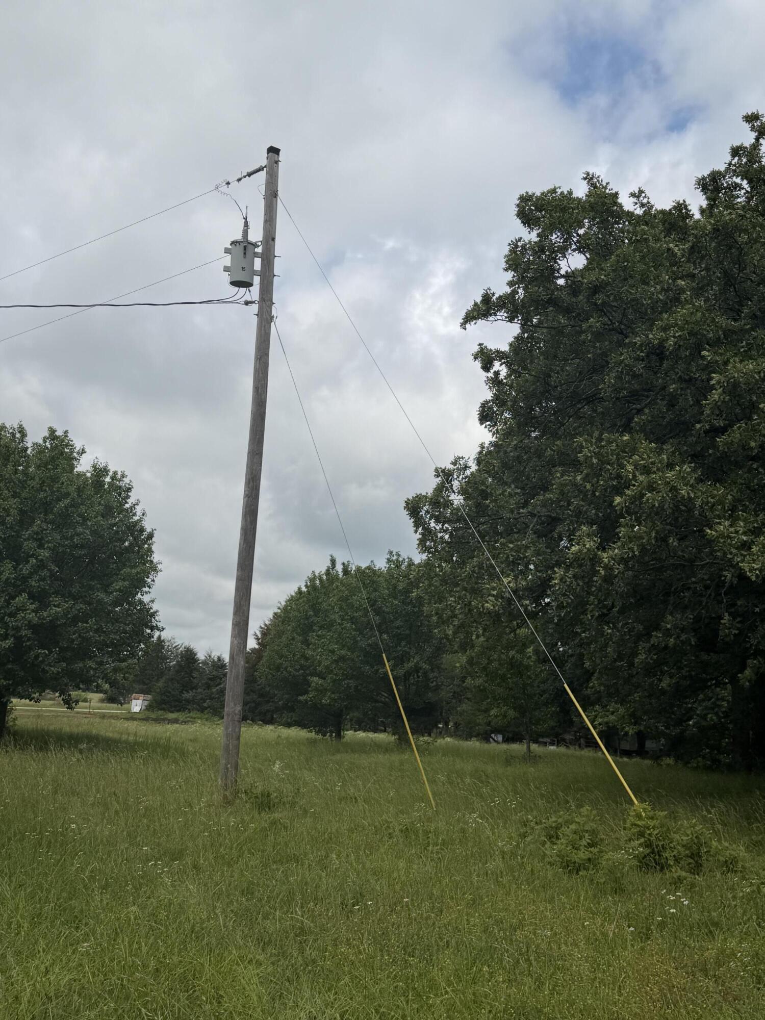 Photo 5 - Land for sale – 1510  State Highway Z   Bruner, MO