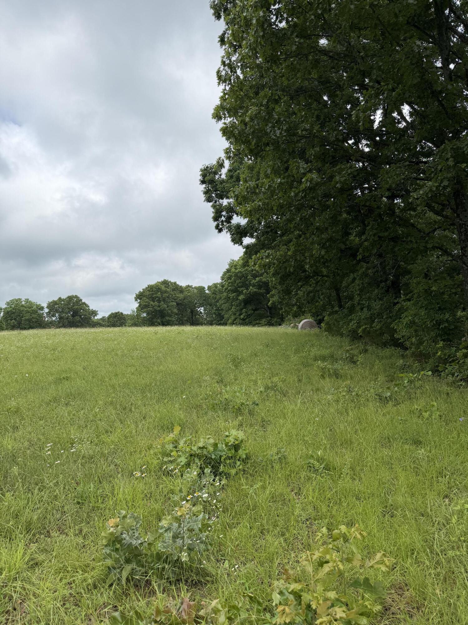 Photo 13 - Land for sale – 1510  State Highway Z   Bruner, MO