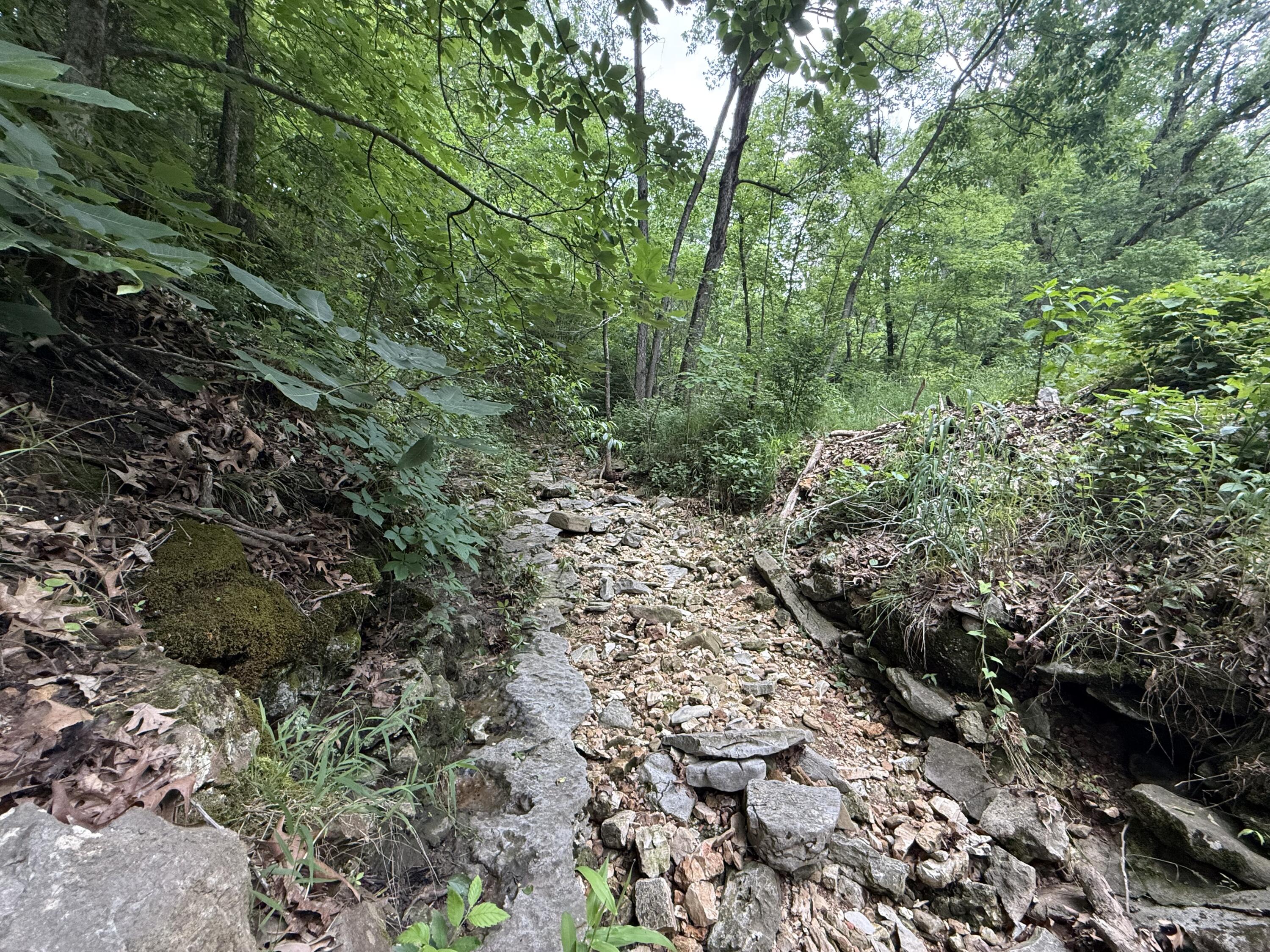 Photo 6 - Land for sale – Tbd  State Highway Dd   Seligman, MO