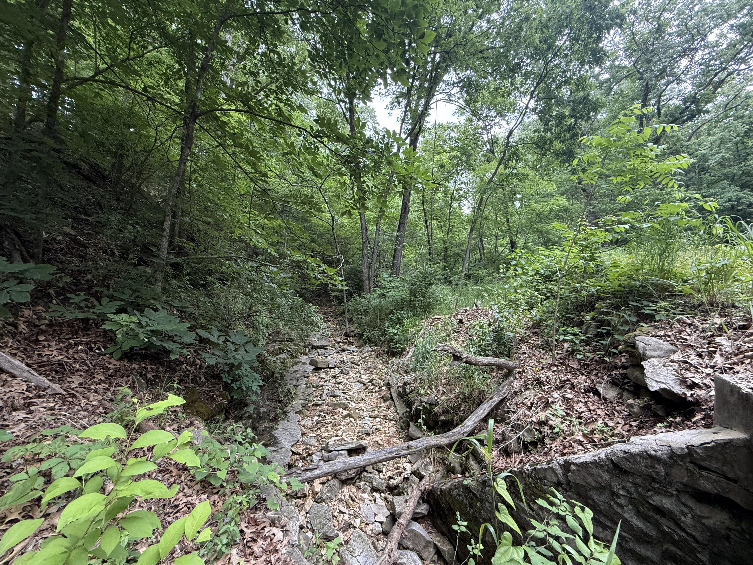 Photo 5 - Land for sale – Tbd  State Highway Dd   Seligman, MO