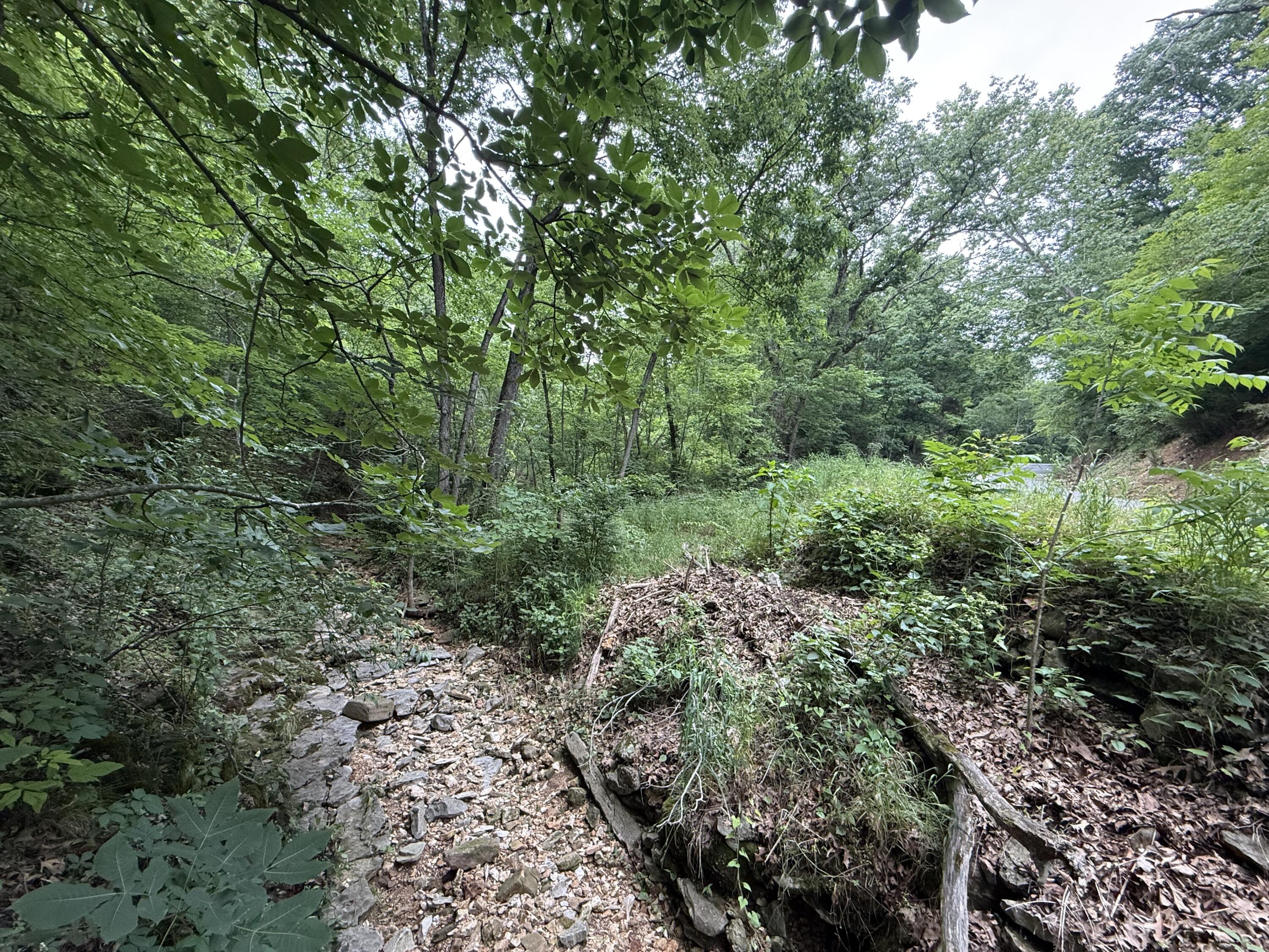 Photo 7 - Land for sale – Tbd  State Highway Dd   Seligman, MO