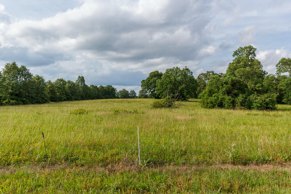 Photo 13 - Farm for sale – 10175  Doe Run Road  Phillipsburg, MO