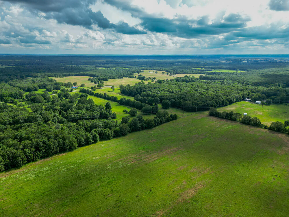 Photo 7 - Farm for sale – 10175  Doe Run Road  Phillipsburg, MO