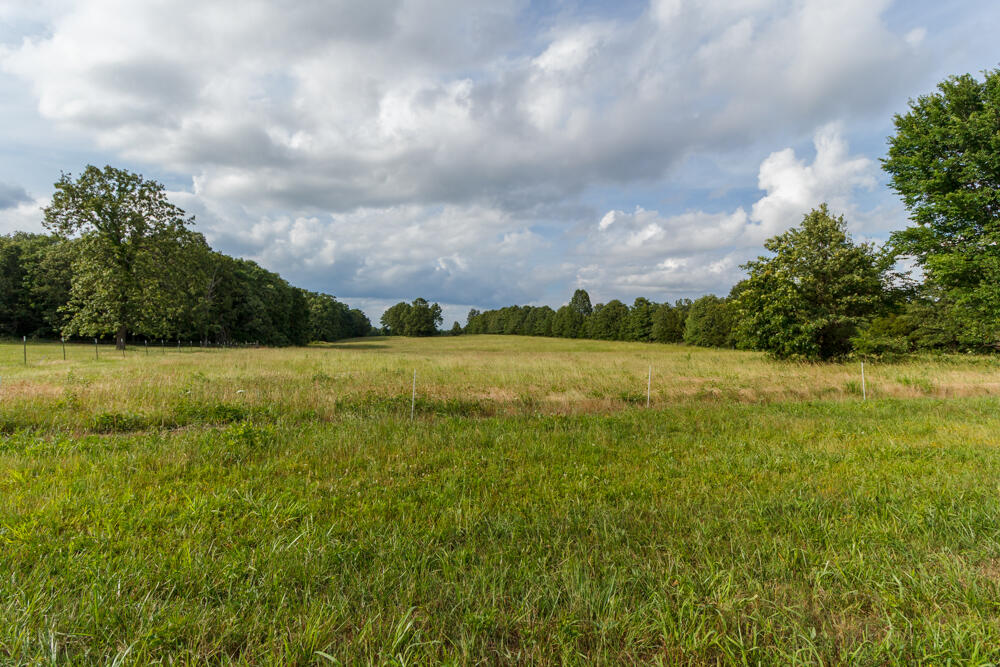 Photo 14 - Farm for sale – 10175  Doe Run Road  Phillipsburg, MO