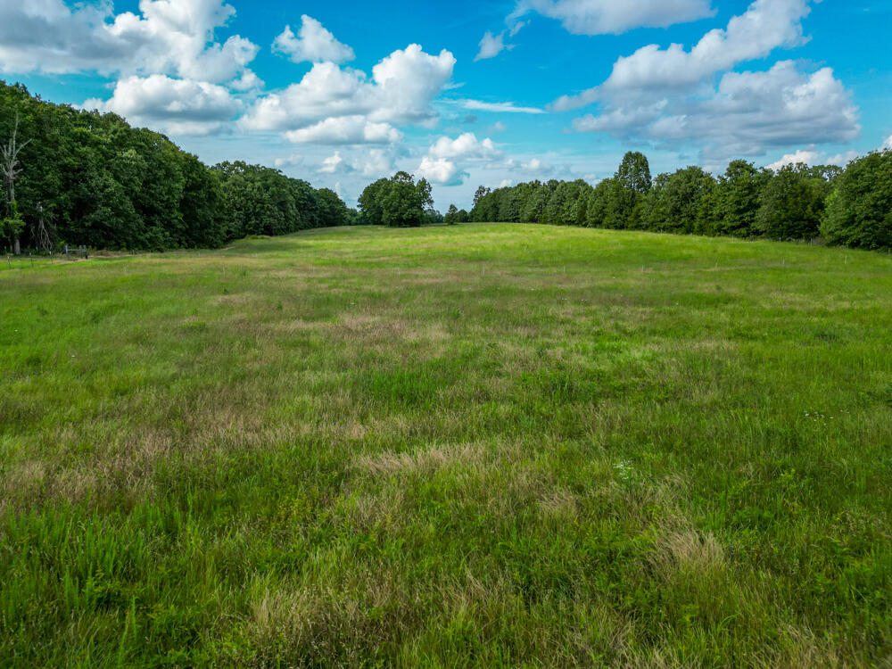 Photo 15 - Farm for sale – 10175  Doe Run Road  Phillipsburg, MO