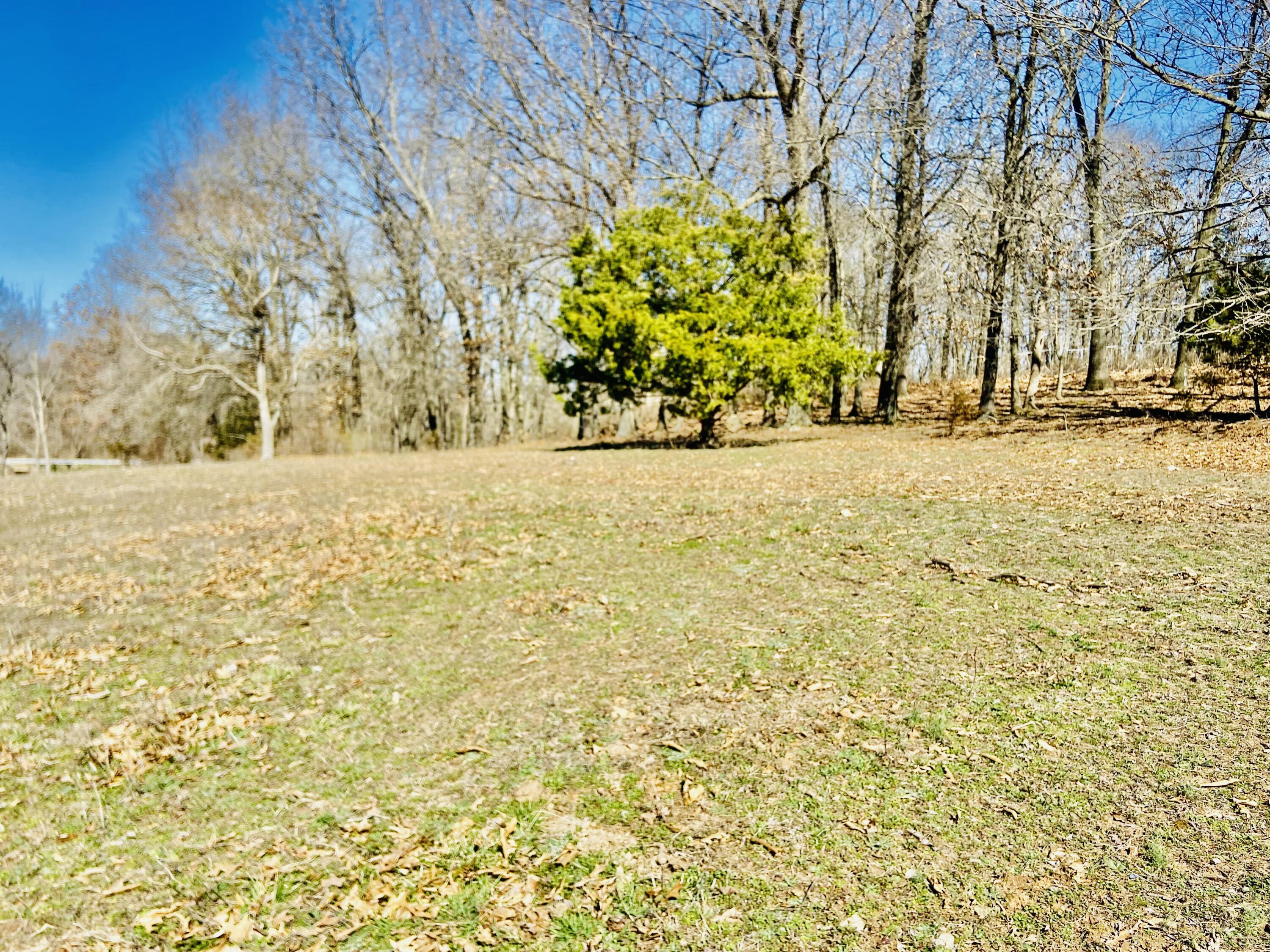 Photo 81 - Residential for sale – 11 S Dade 203   Everton, MO