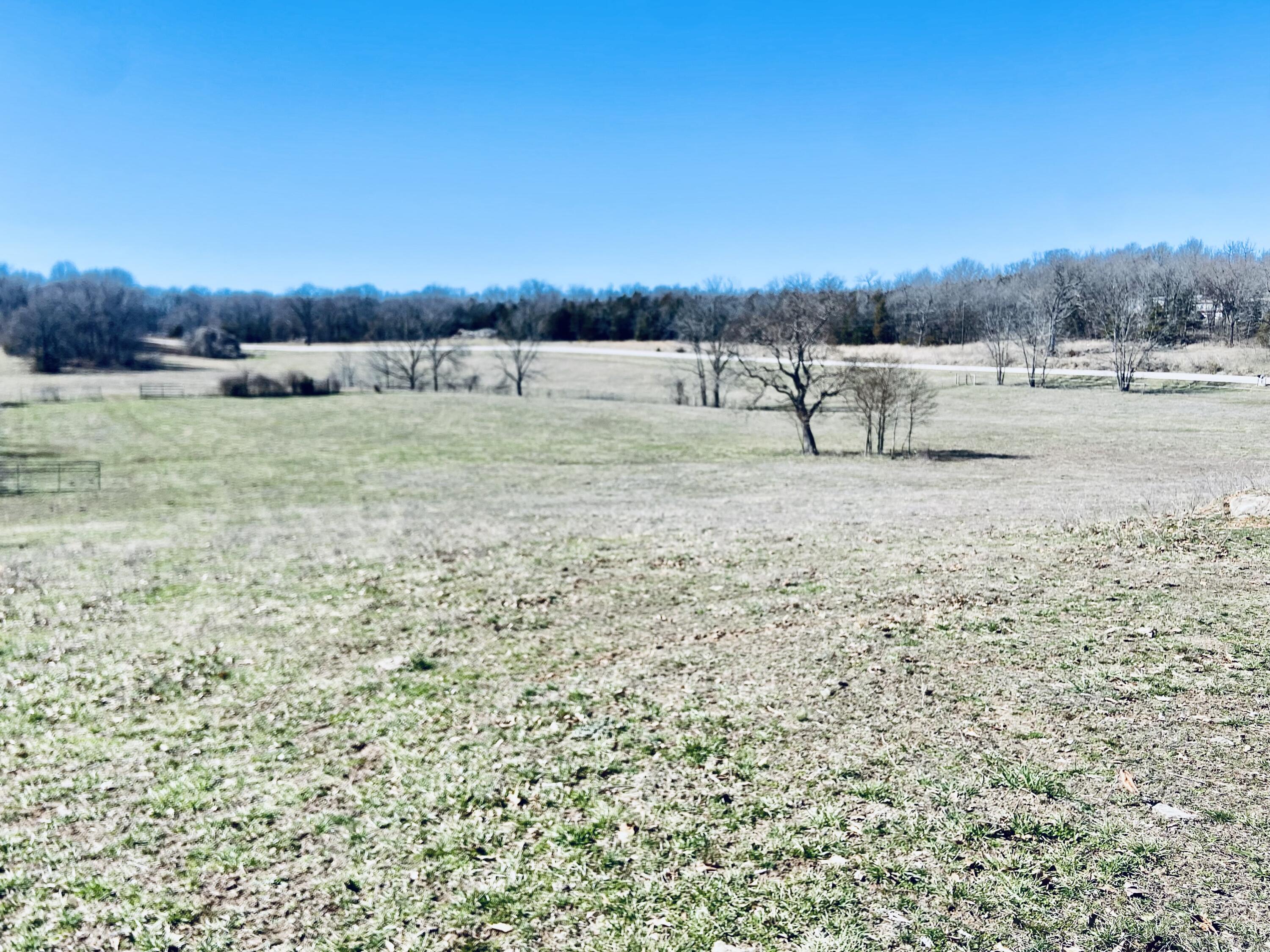 Photo 79 - Residential for sale – 11 S Dade 203   Everton, MO