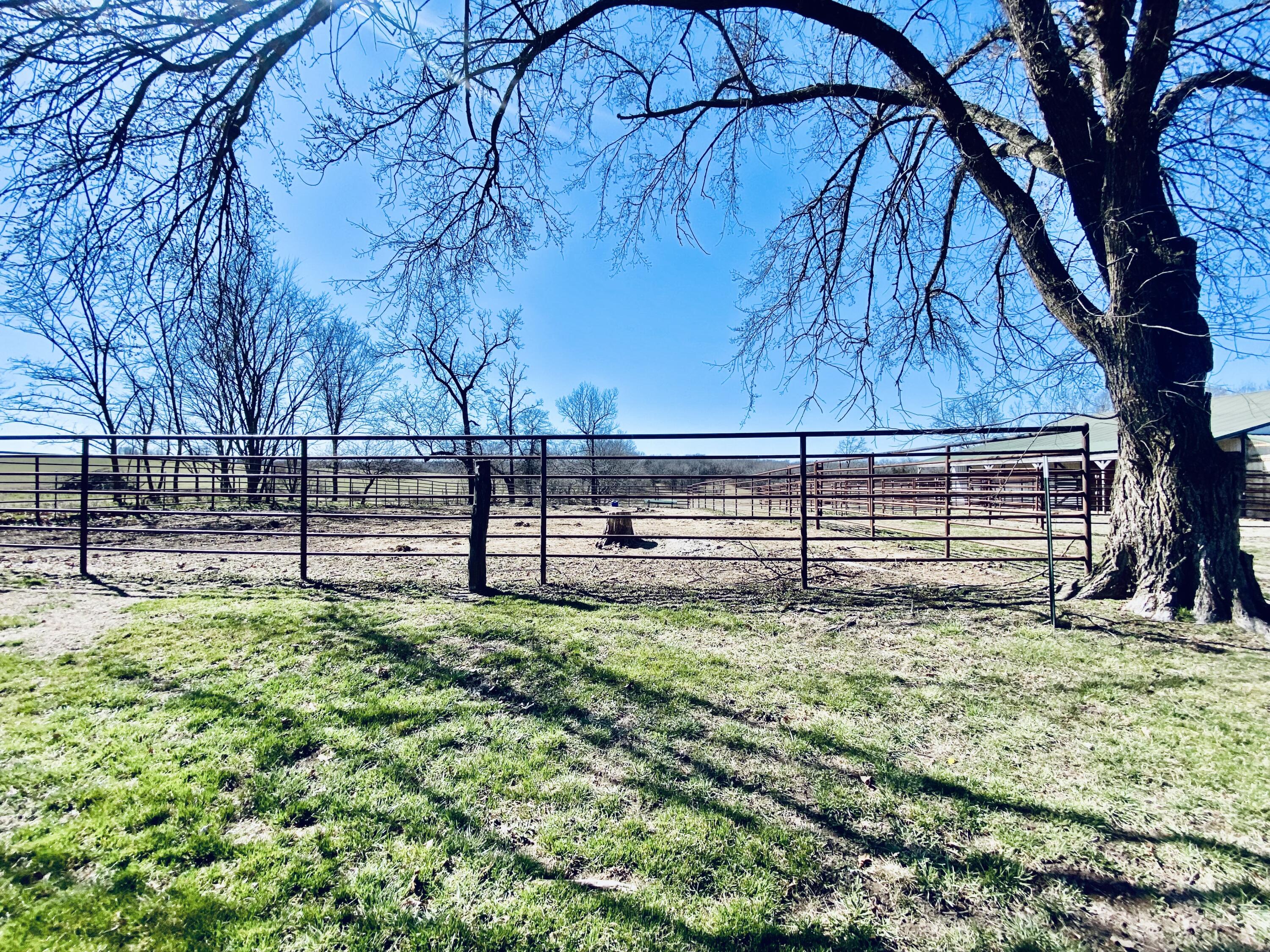 Photo 6 - Residential for sale – 11 S Dade 203   Everton, MO