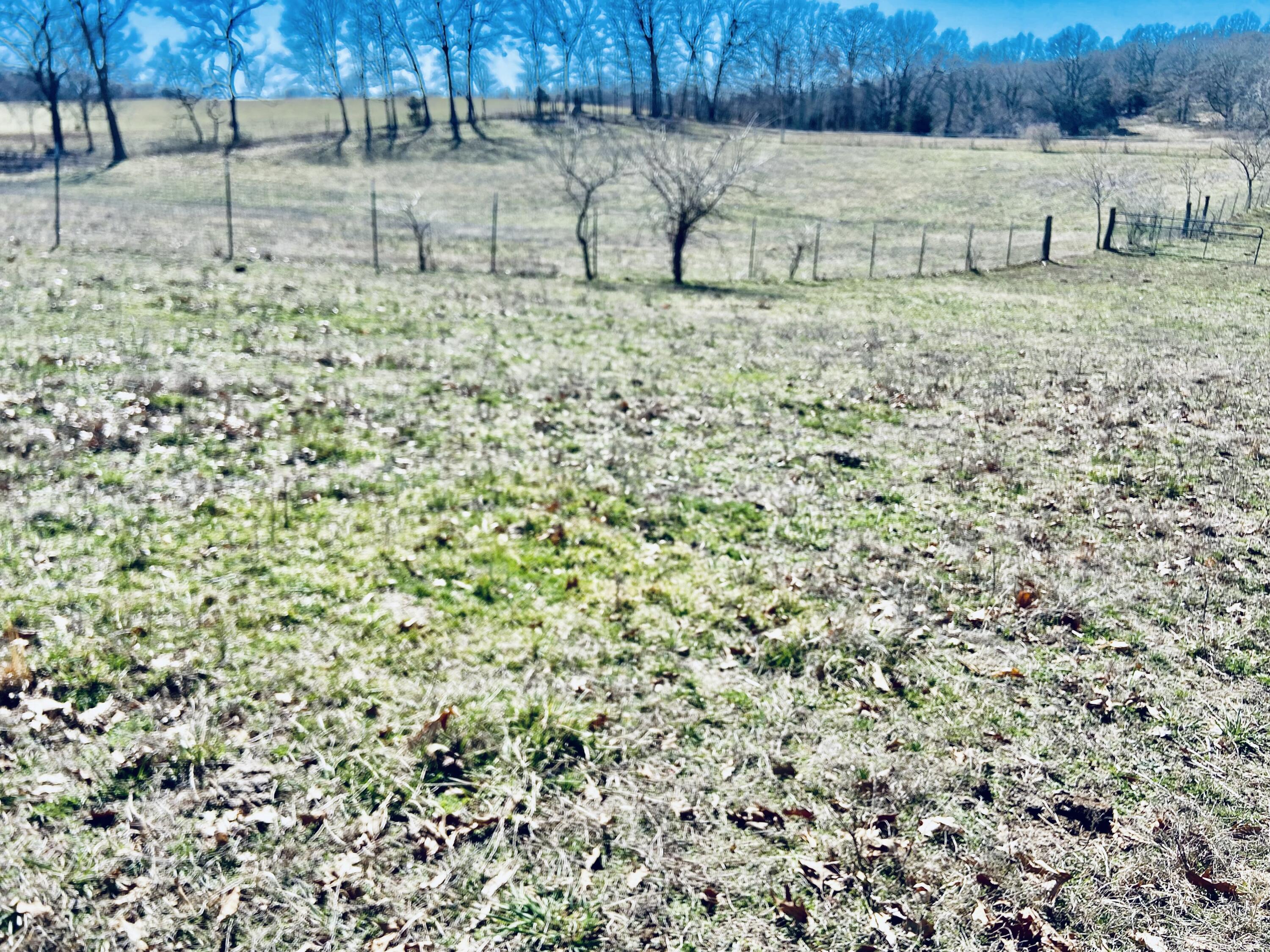 Photo 83 - Residential for sale – 11 S Dade 203   Everton, MO
