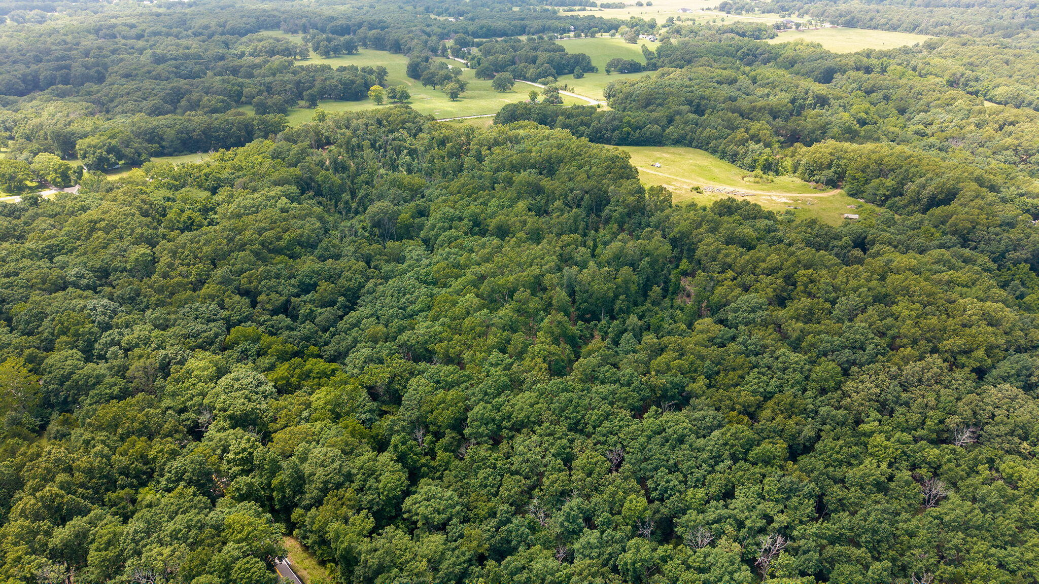 Photo 24 - Land for sale – 500 N Farm Rd 227   Strafford, MO