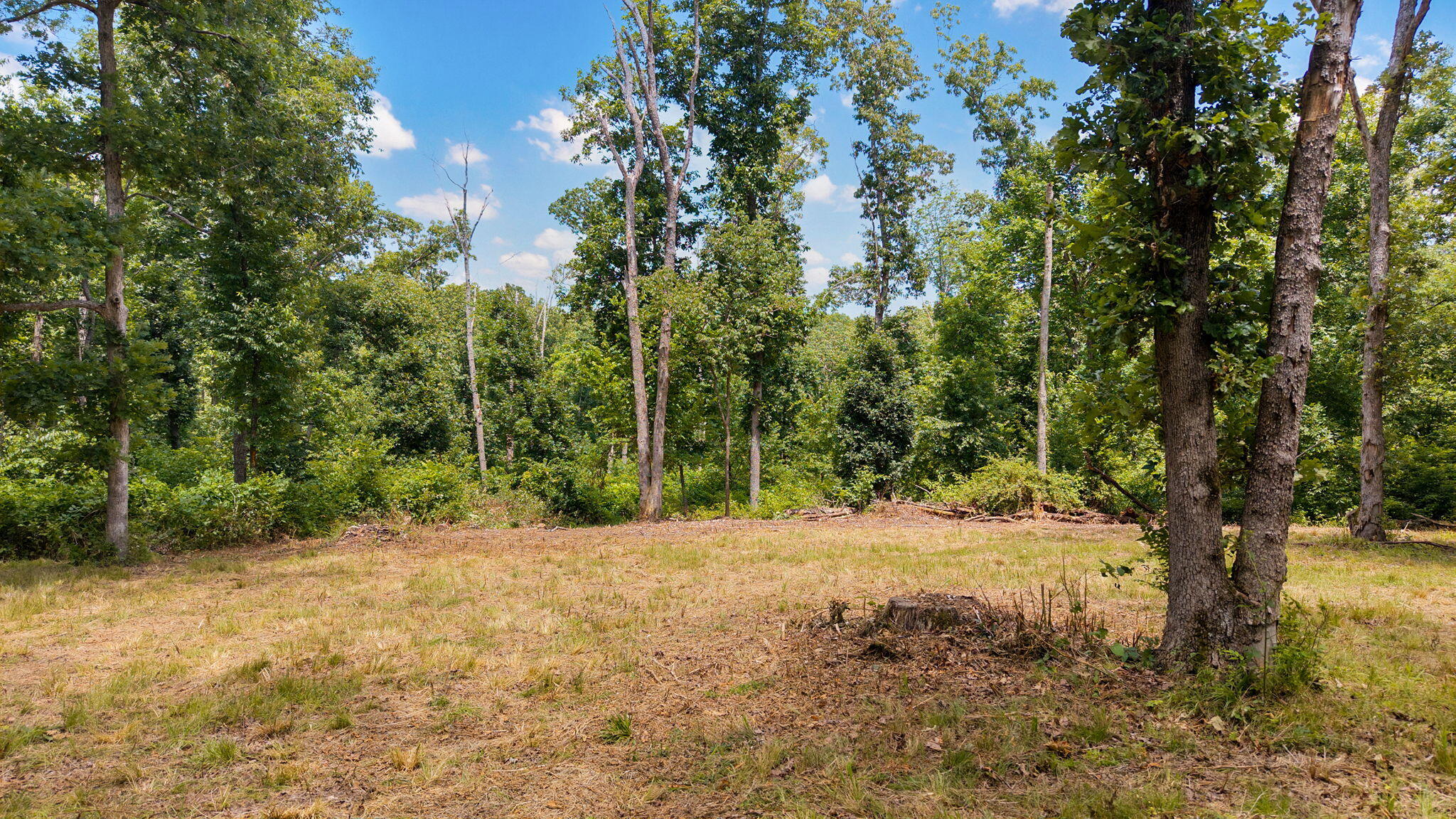 Photo 16 - Land for sale – 500 N Farm Rd 227   Strafford, MO