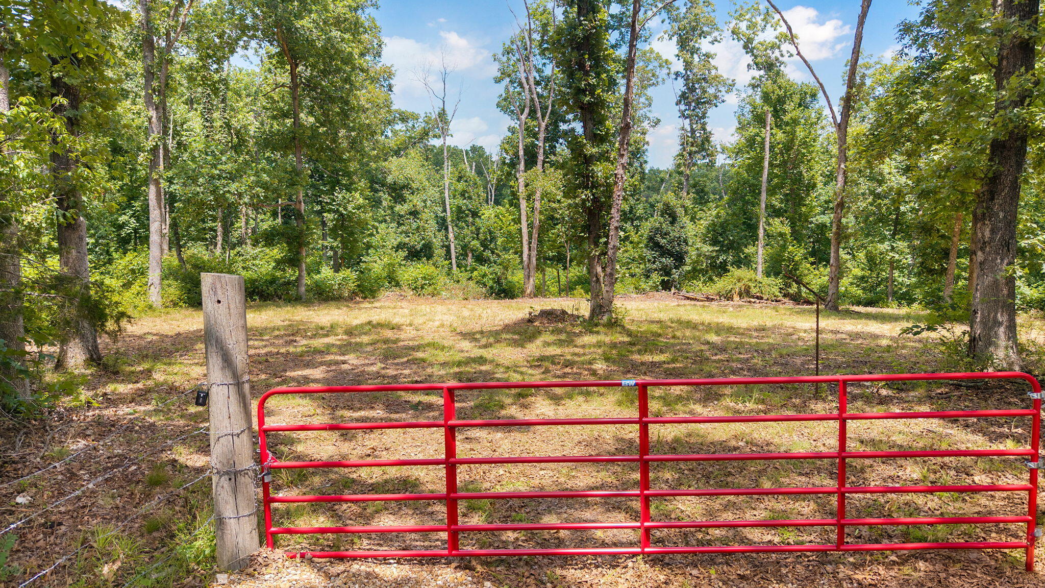 Photo 2 - Land for sale – 500 N Farm Rd 227   Strafford, MO