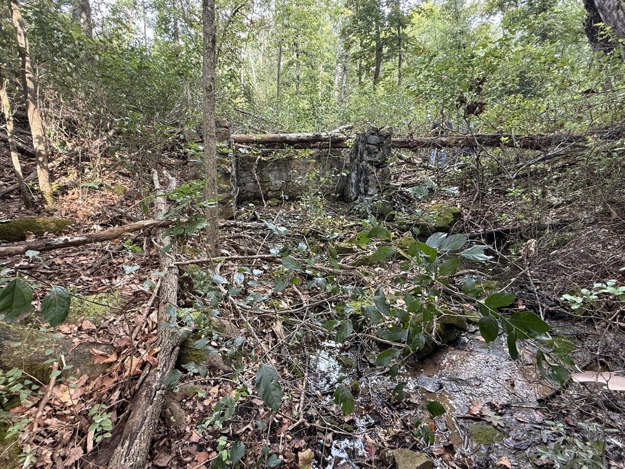 Photo 5 - Land for sale – 500 N Farm Rd 227   Strafford, MO