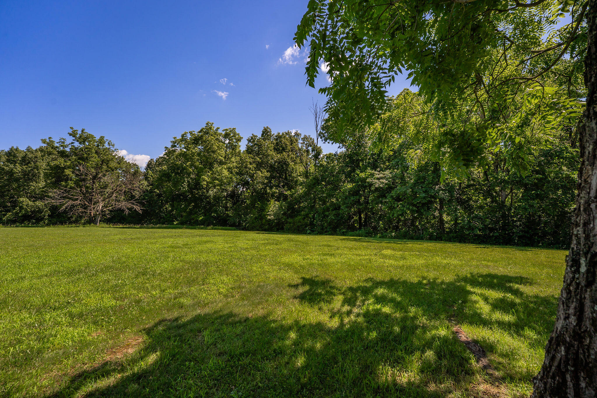 Photo 58 - Residential for sale – 1440  State Highway Ab   Seymour, MO