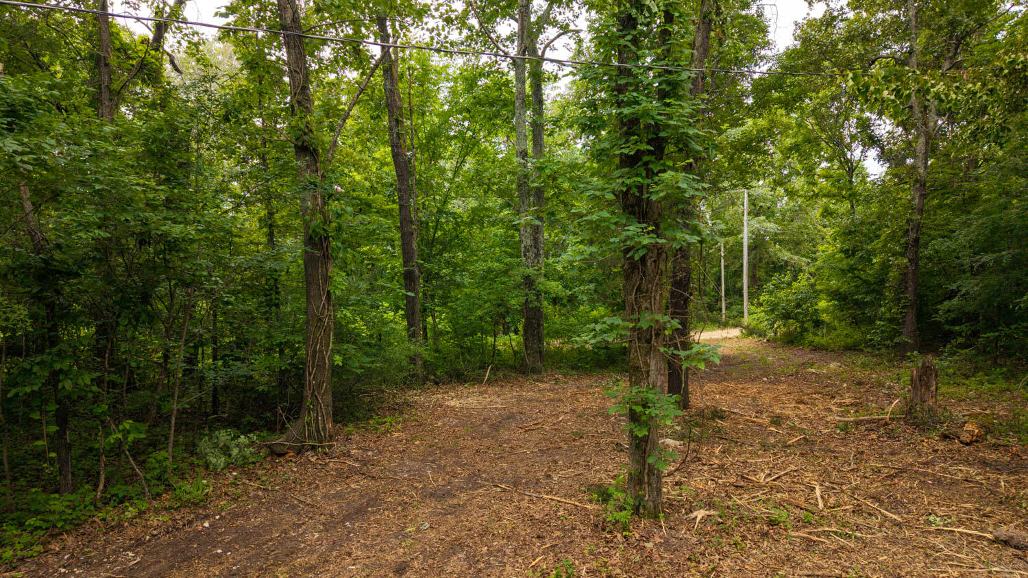 Photo 10 - Land for sale – Tbd  Rainbow Valley Trail   Mammoth Spring, AR
