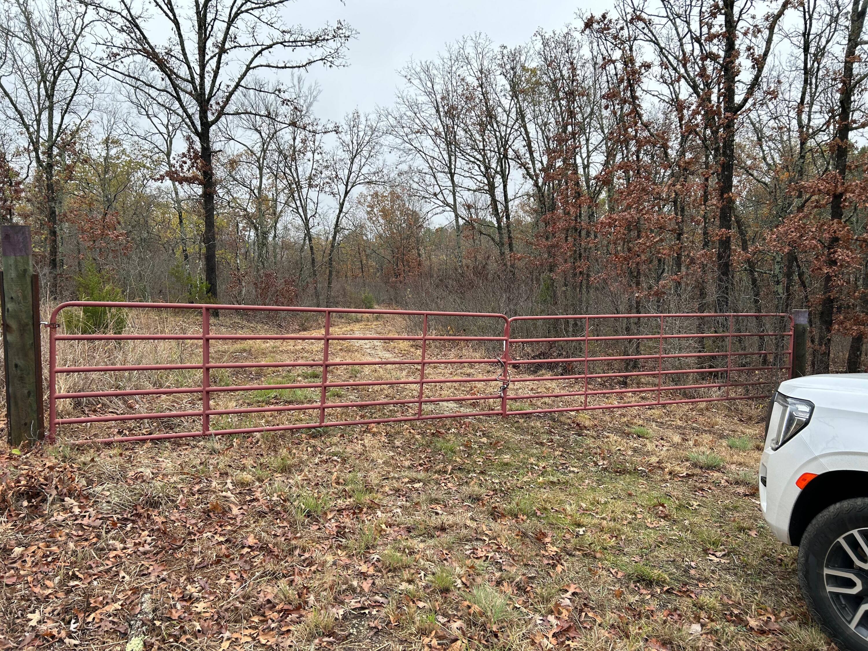 Photo 6 - Land for sale – 000 N State Highway 125   Bradleyville, MO