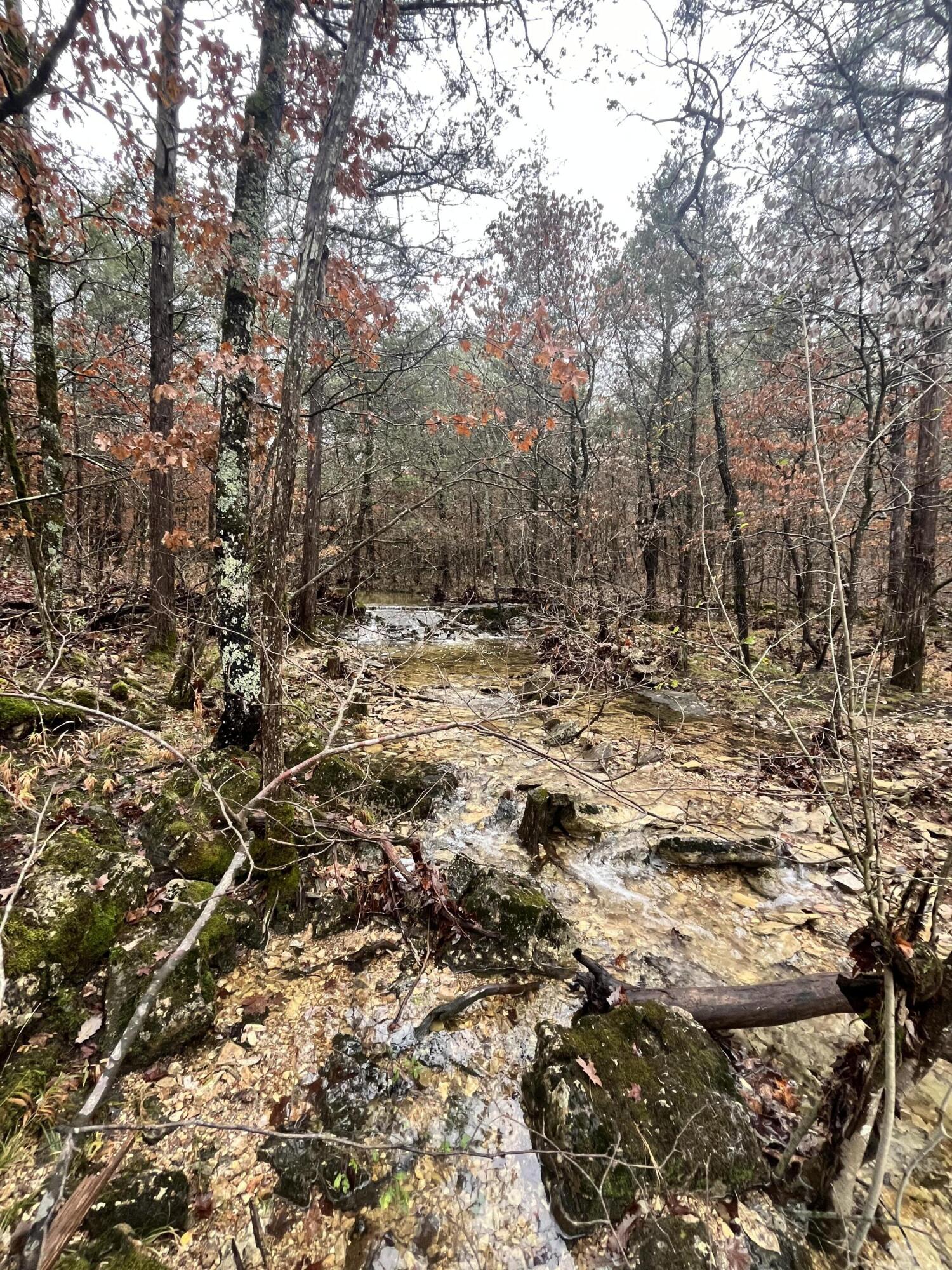 Photo 15 - Land for sale – 000 N State Highway 125   Bradleyville, MO