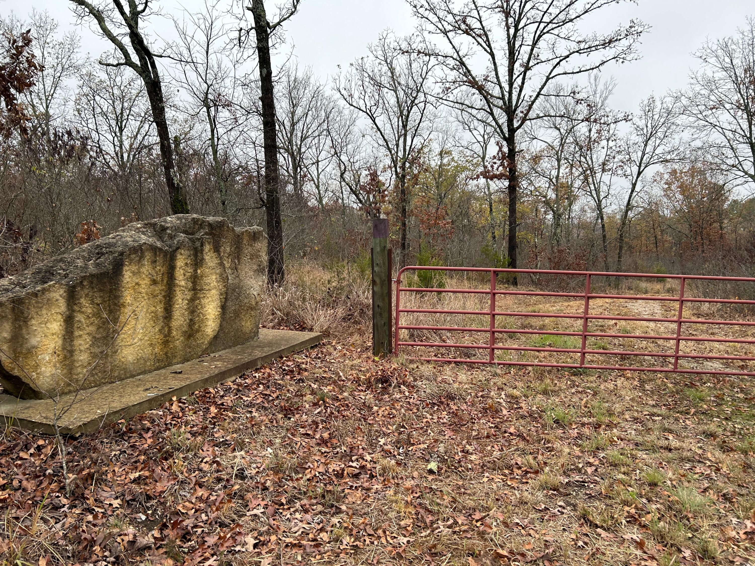 Photo 5 - Land for sale – 000 N State Highway 125   Bradleyville, MO