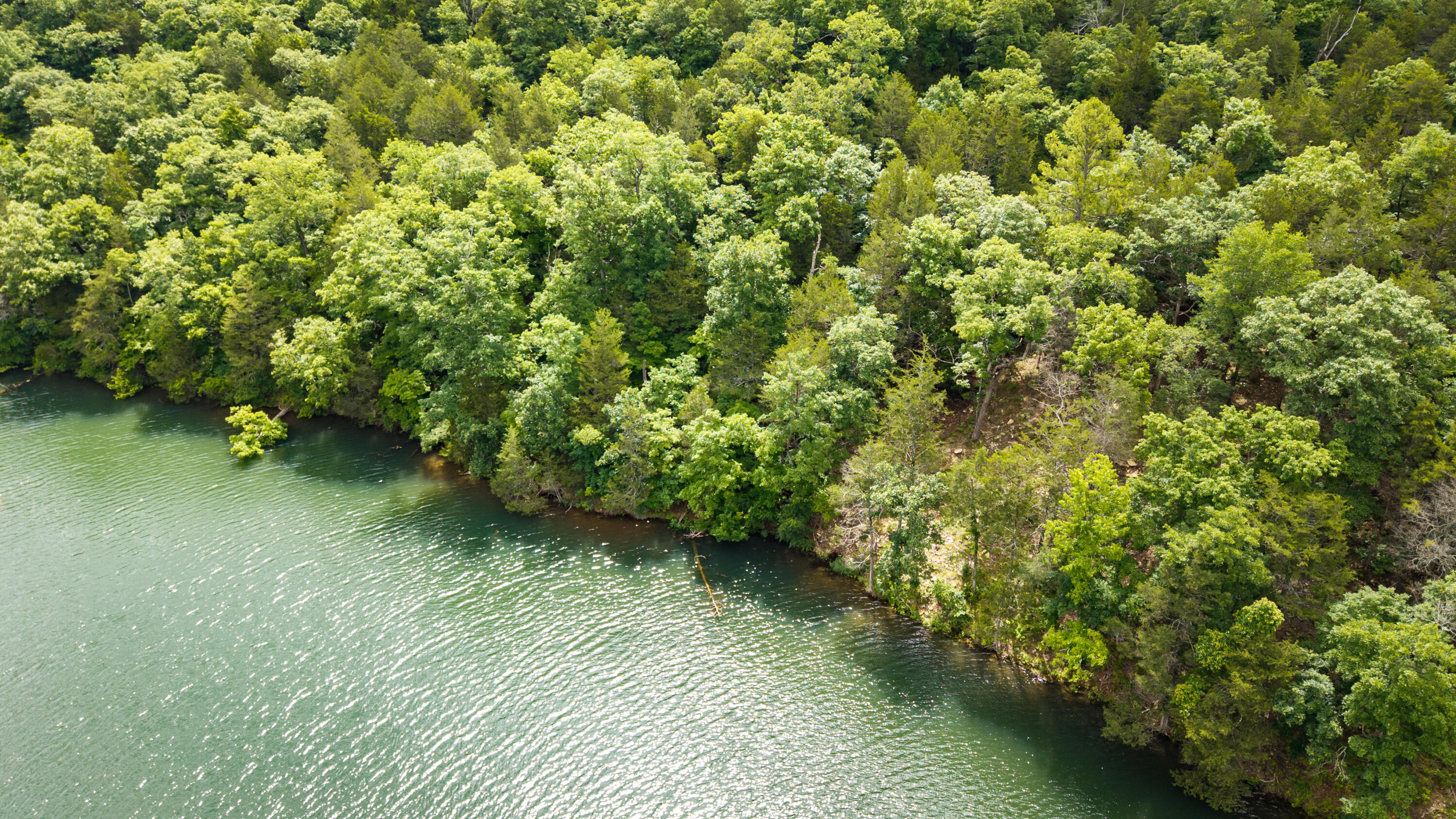 Photo 10 - Land for sale – 1701  Rustic Acres Road  Kirbyville, MO