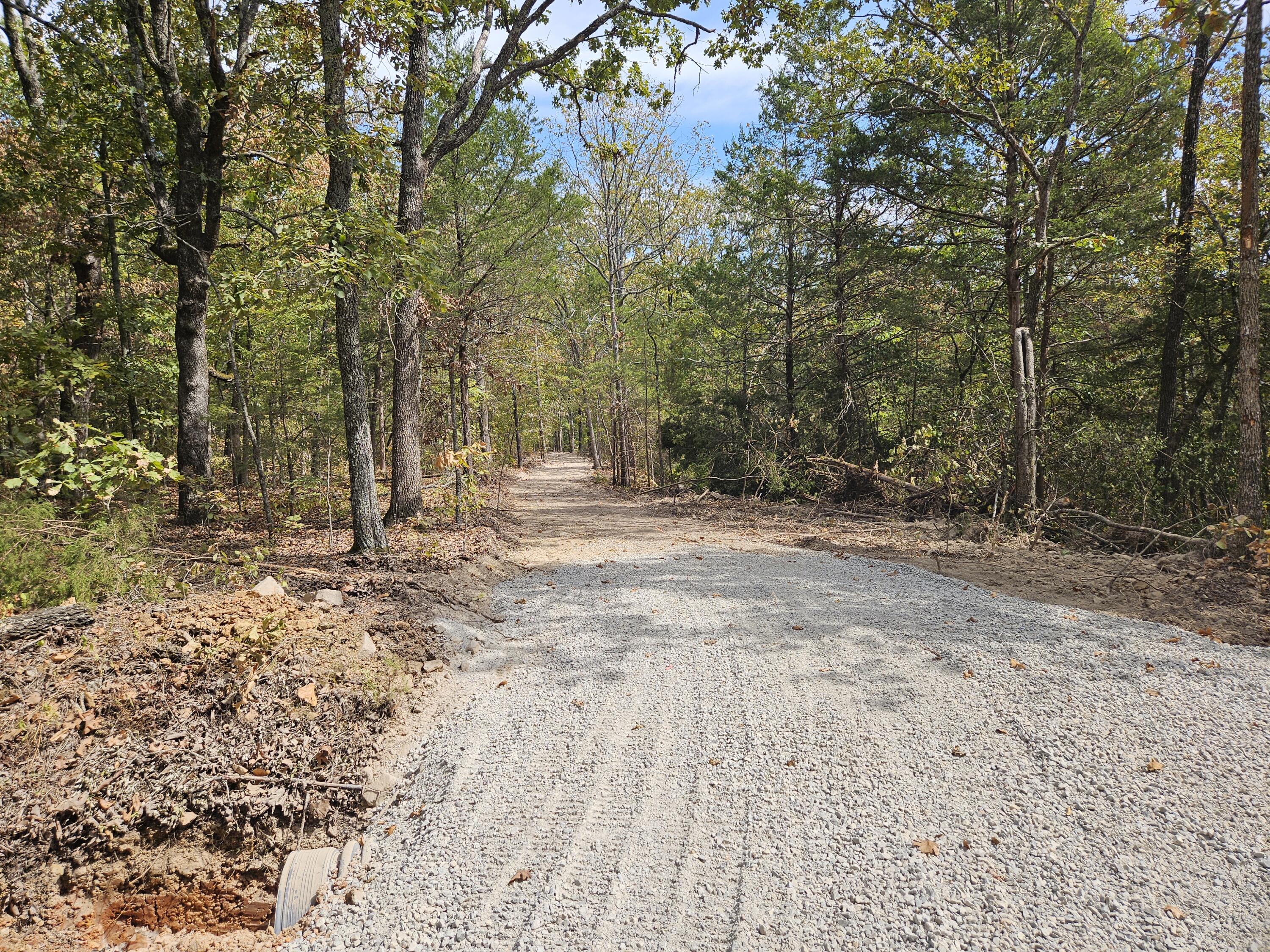 Land for sale – 000  Co Rd 519   Hardenville, MO