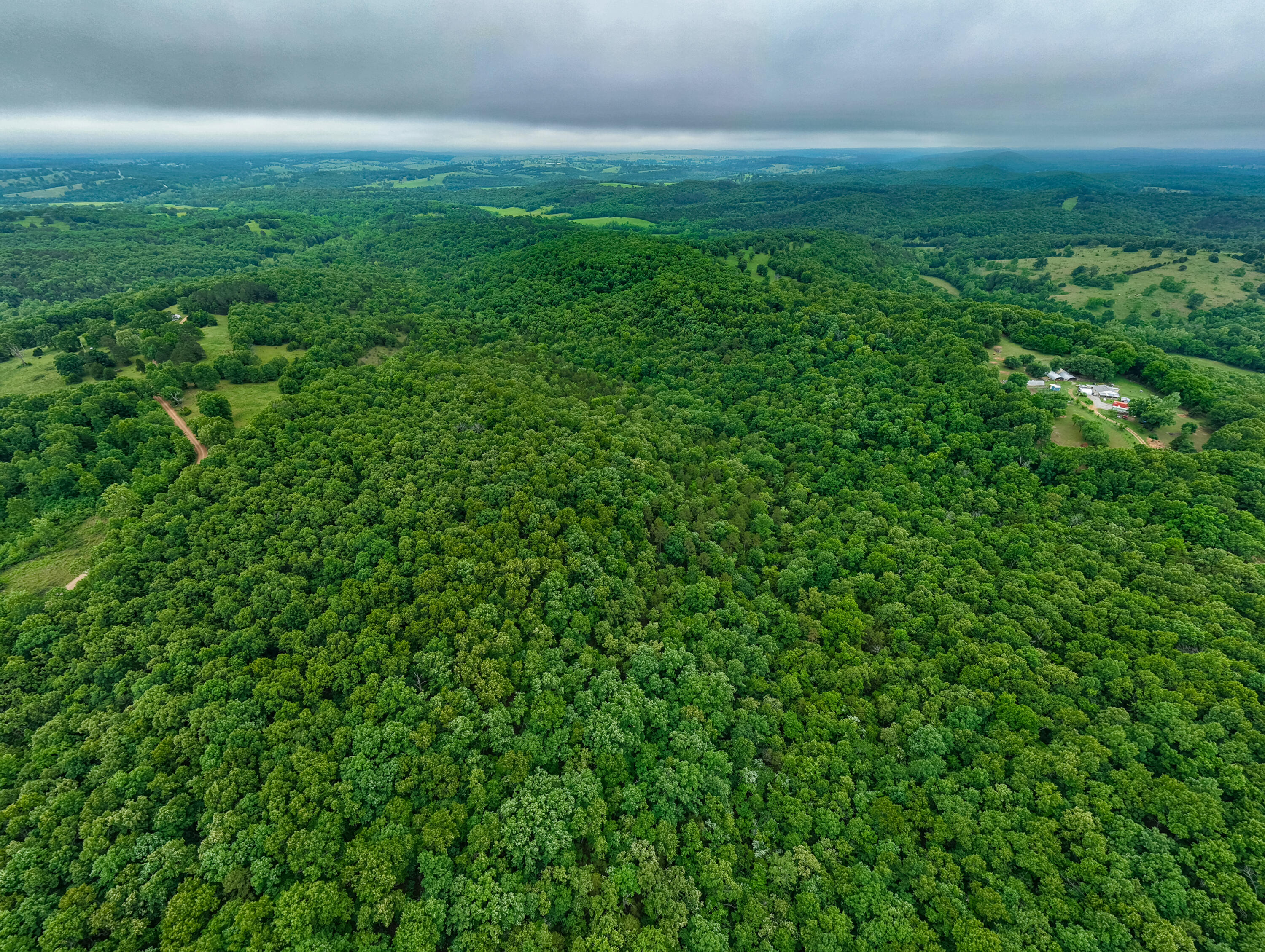 Photo 10 - Land for sale – 000  Co Rd 519   Hardenville, MO