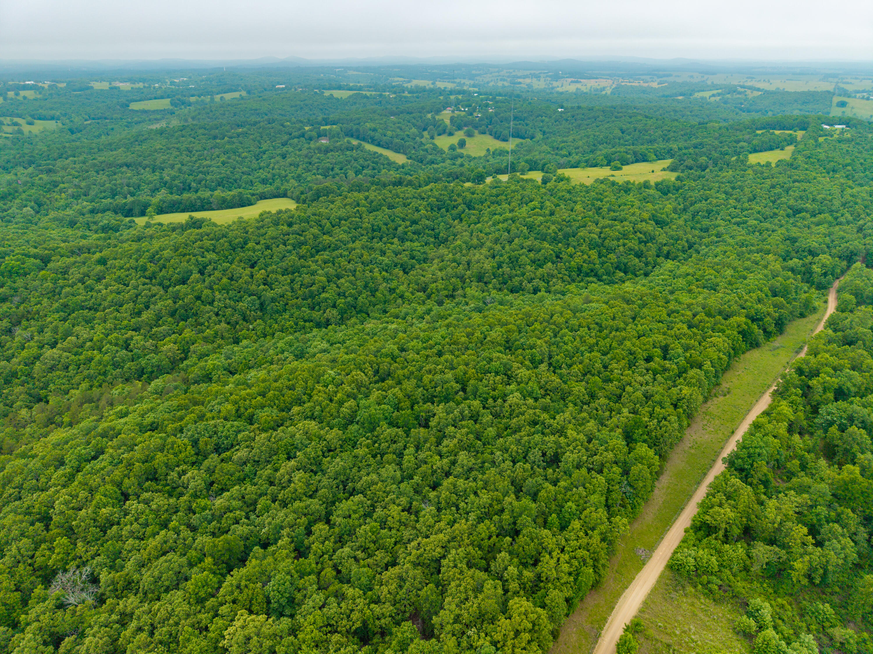 Photo 11 - Land for sale – 000  Co Rd 519   Hardenville, MO
