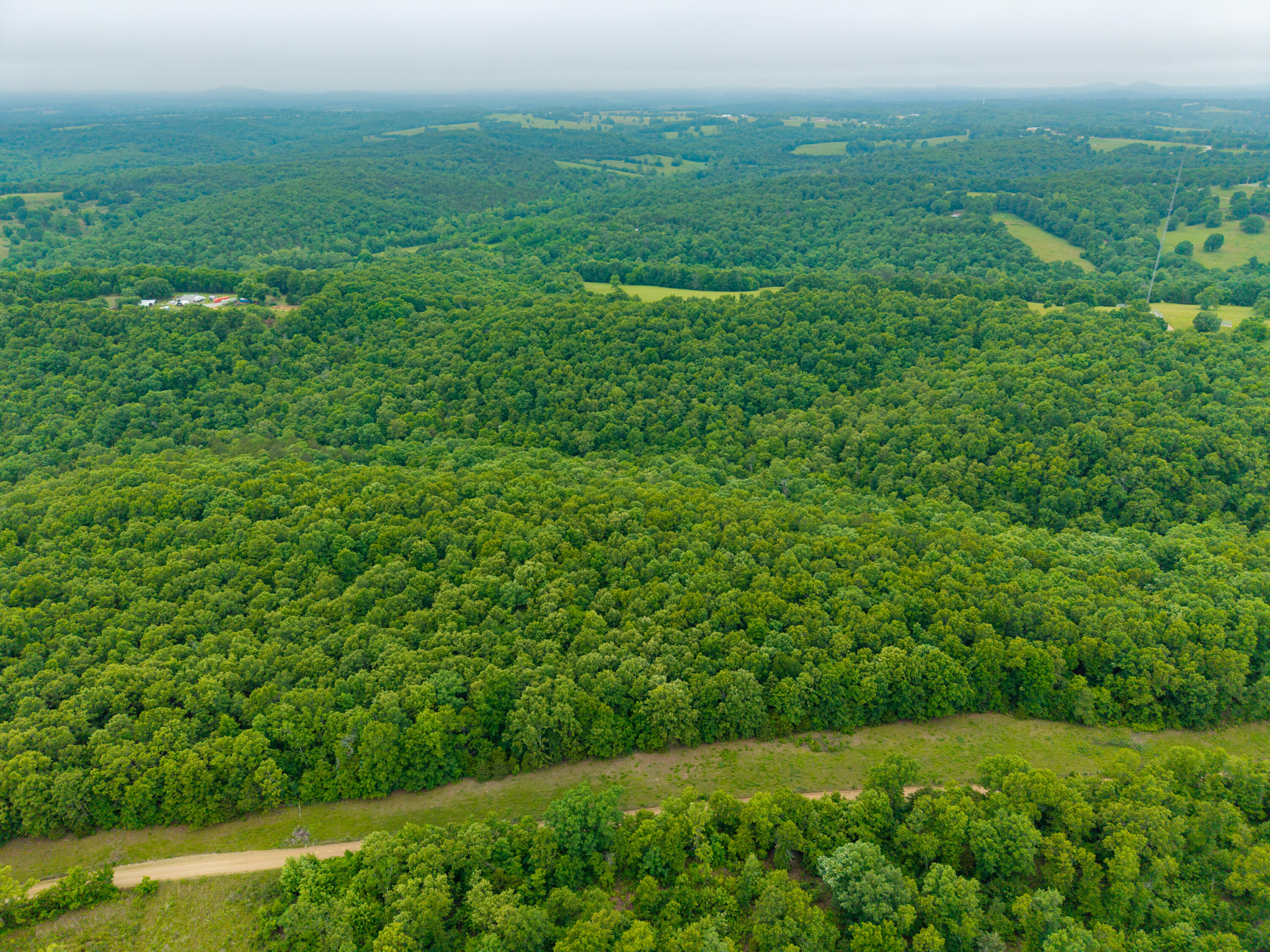 Photo 9 - Land for sale – 000  Co Rd 519   Hardenville, MO
