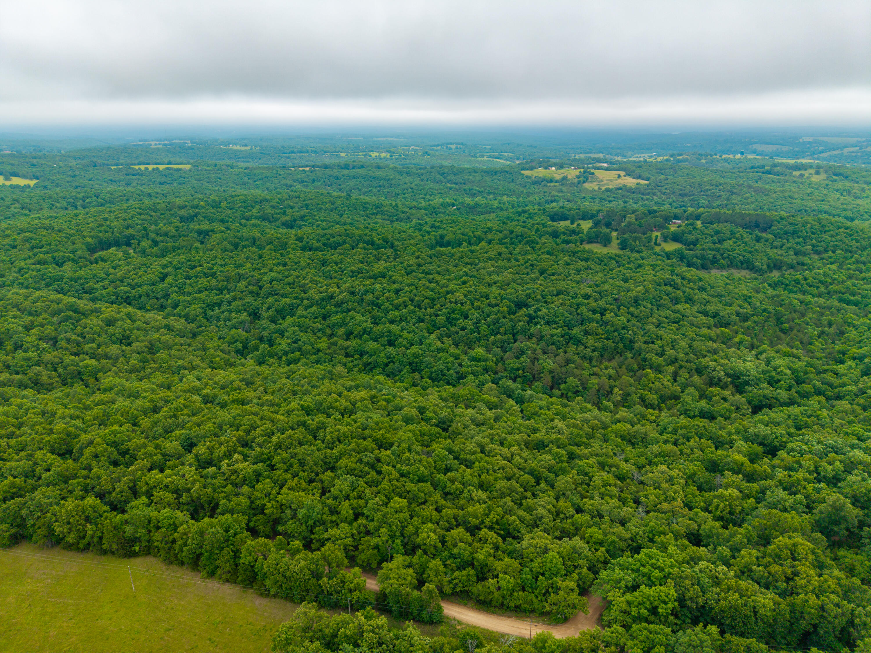 Photo 5 - Land for sale – 000  Co Rd 519   Hardenville, MO