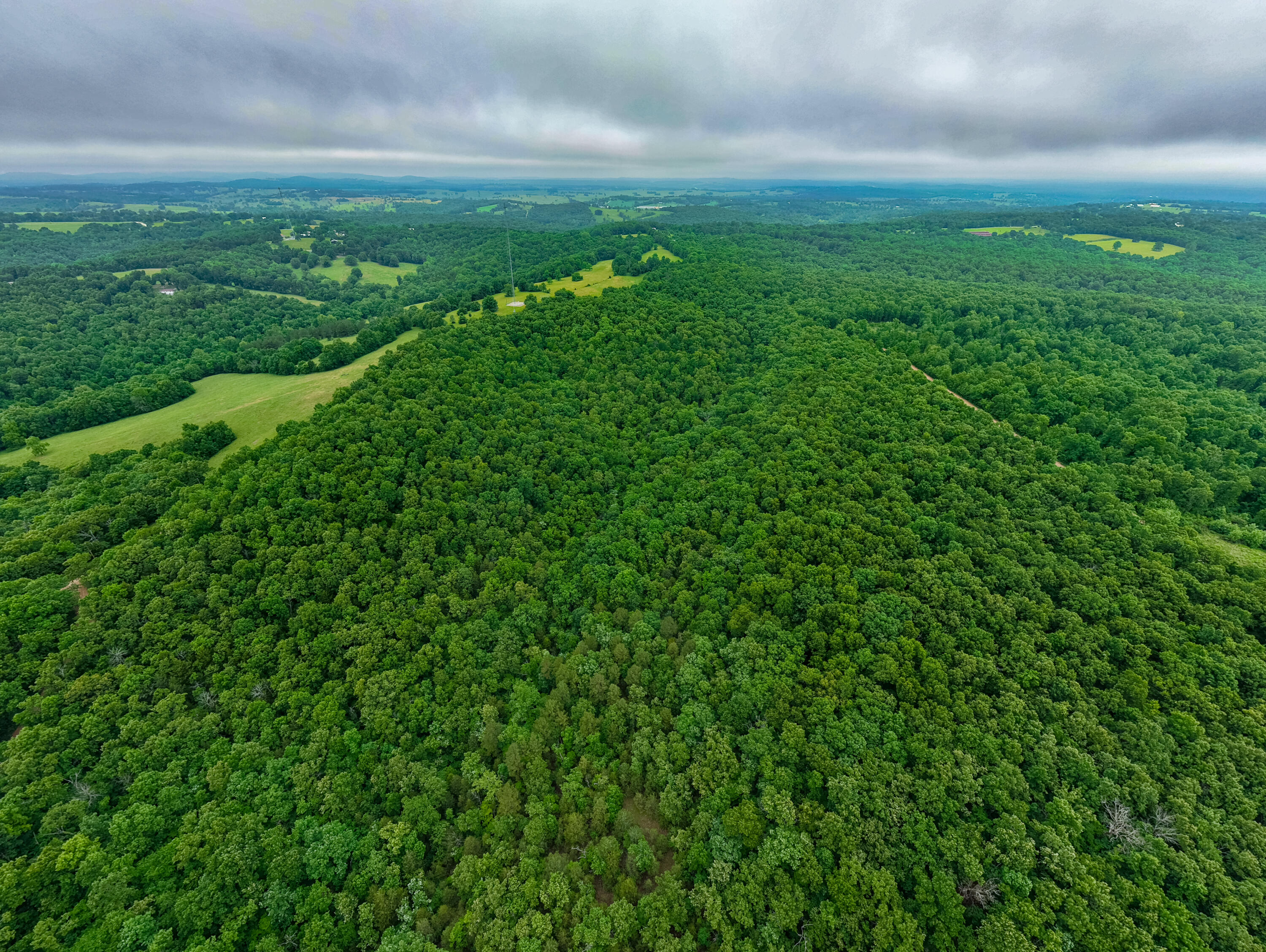 Photo 7 - Land for sale – 000  Co Rd 519   Hardenville, MO