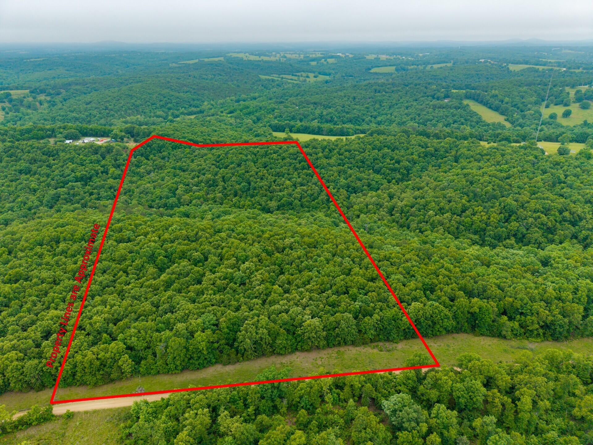 Photo 8 - Land for sale – 000  Co Rd 519   Hardenville, MO
