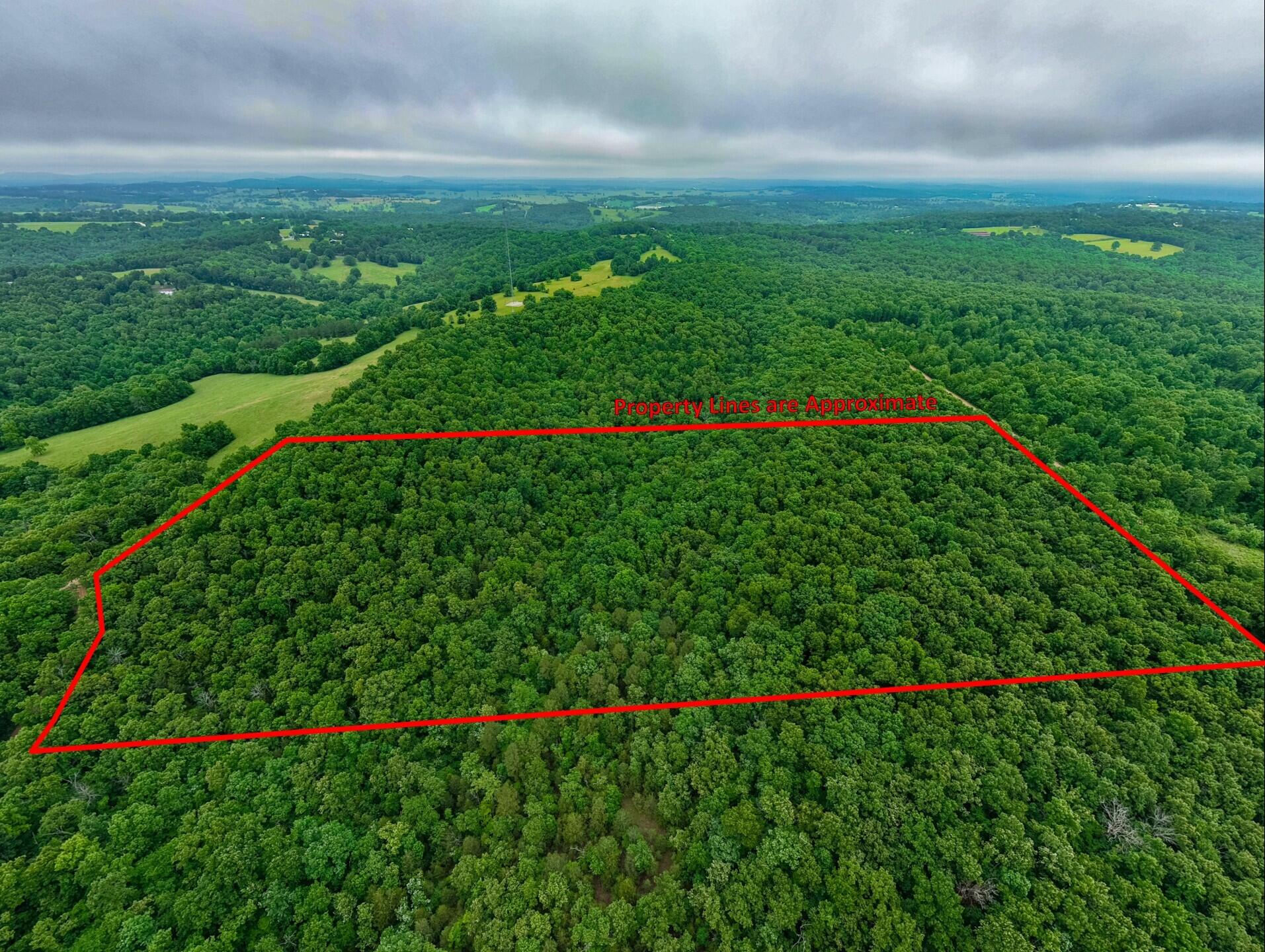 Photo 6 - Land for sale – 000  Co Rd 519   Hardenville, MO