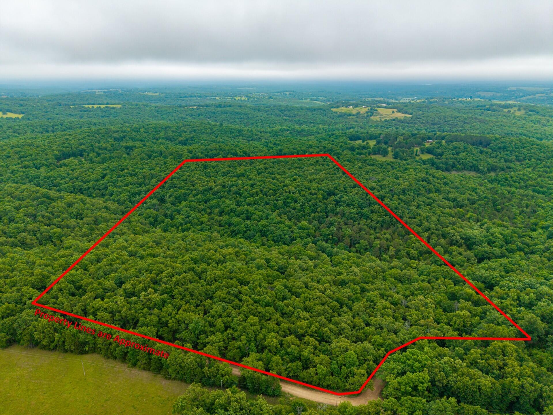Photo 4 - Land for sale – 000  Co Rd 519   Hardenville, MO