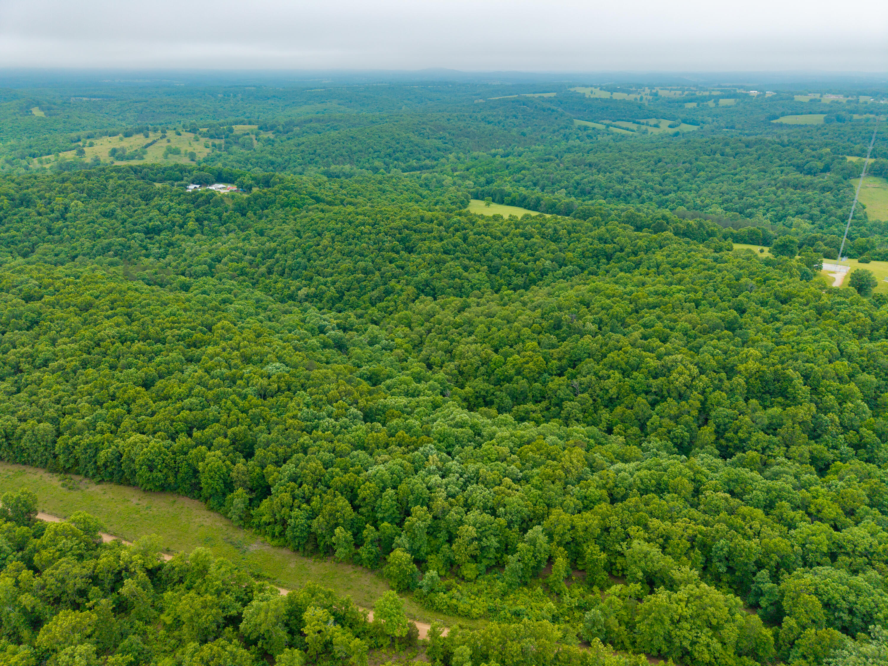 Photo 14 - Land for sale – 000  Co Rd 519   Hardenville, MO
