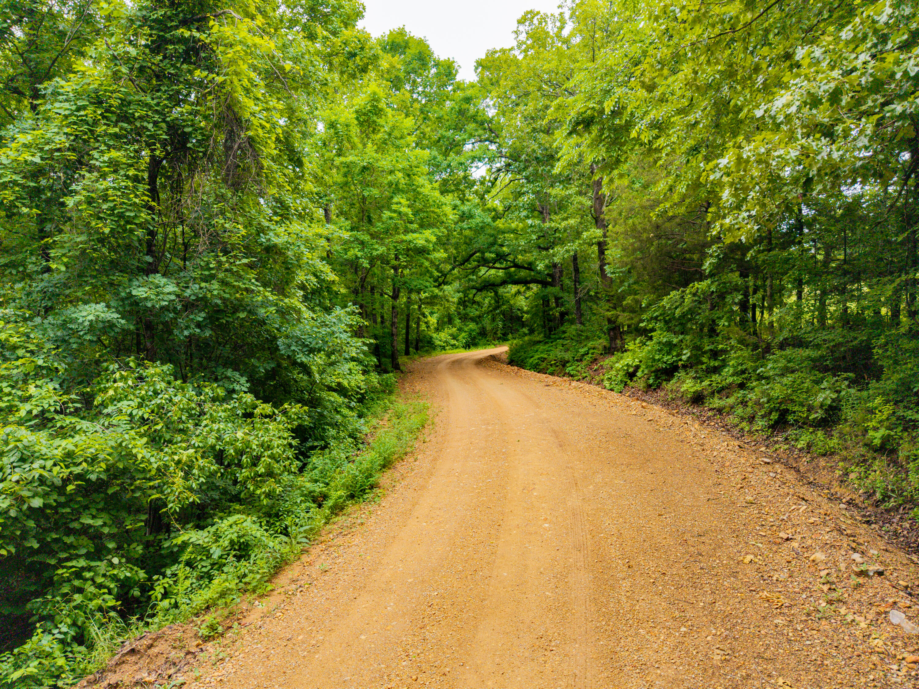 Photo 18 - Land for sale – 000  Co Rd 519   Hardenville, MO