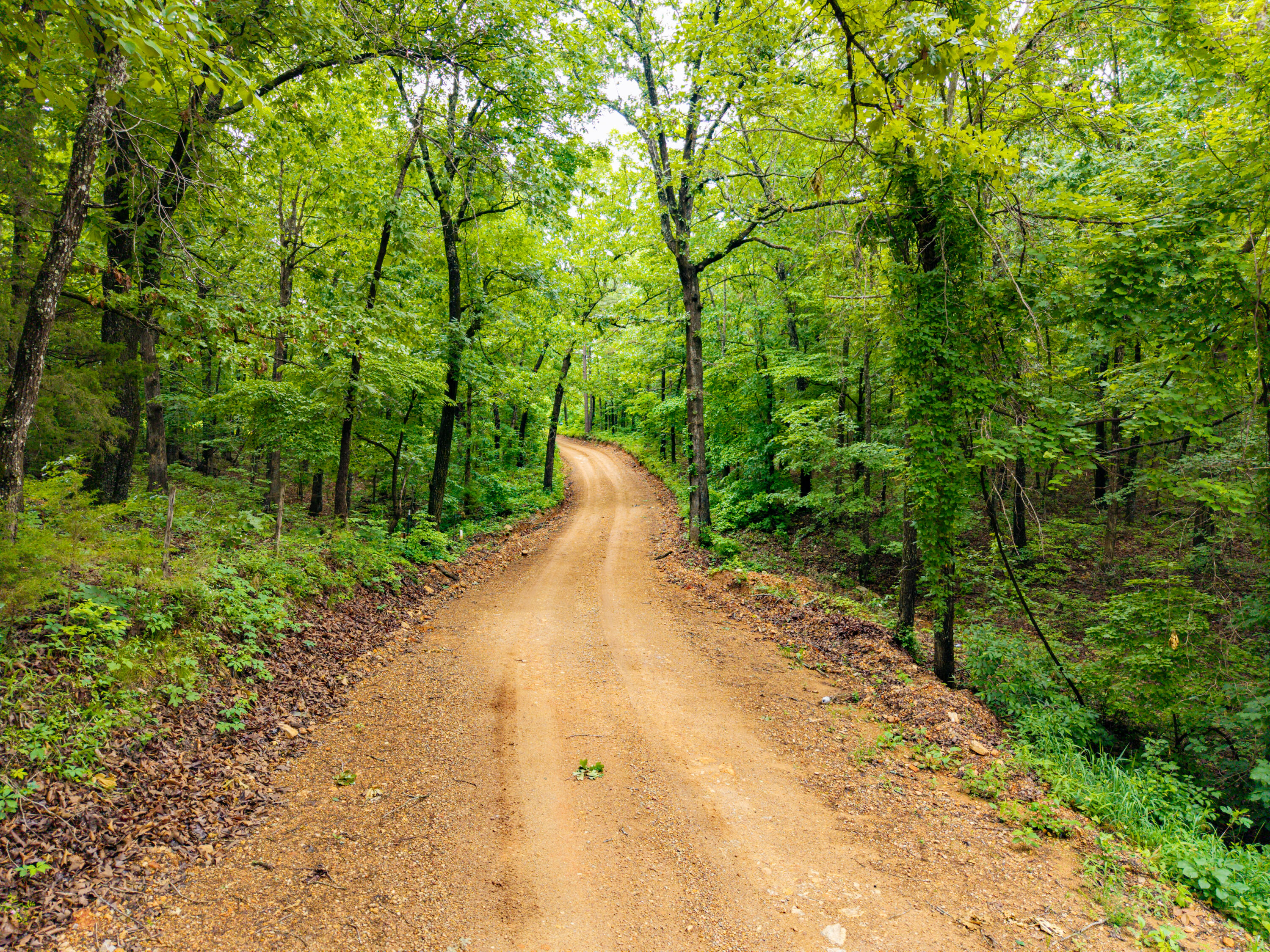 Photo 20 - Land for sale – 000  Co Rd 519   Hardenville, MO