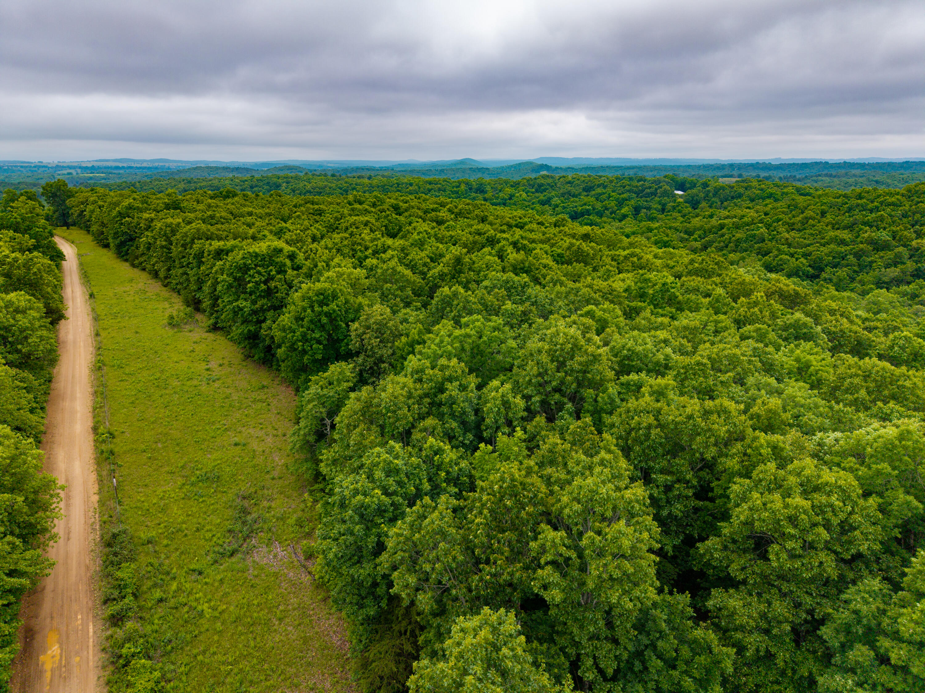 Photo 16 - Land for sale – 000  Co Rd 519   Hardenville, MO