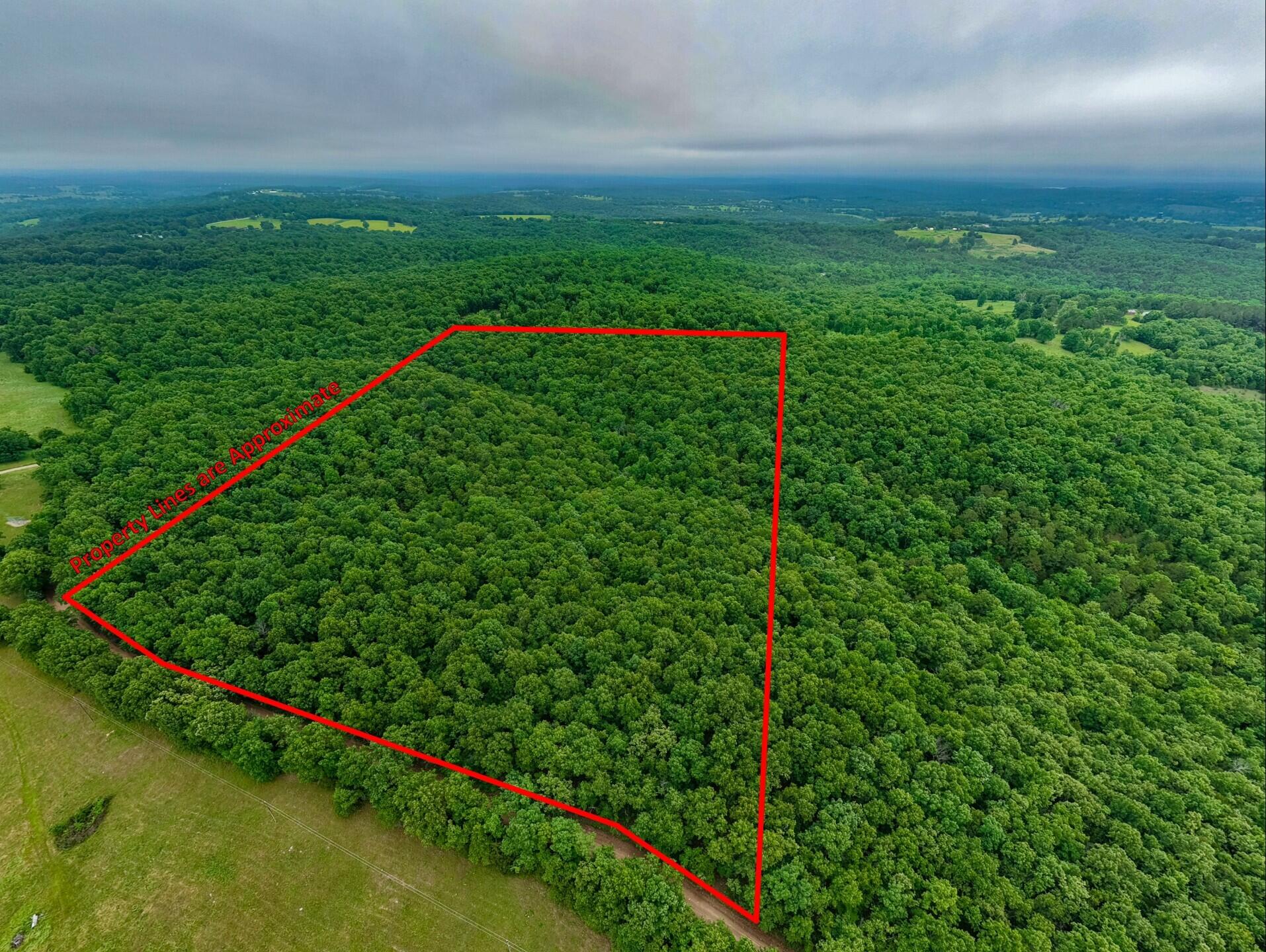 Photo 6 - Land for sale – 000  Co Rd 519   Hardenville, MO