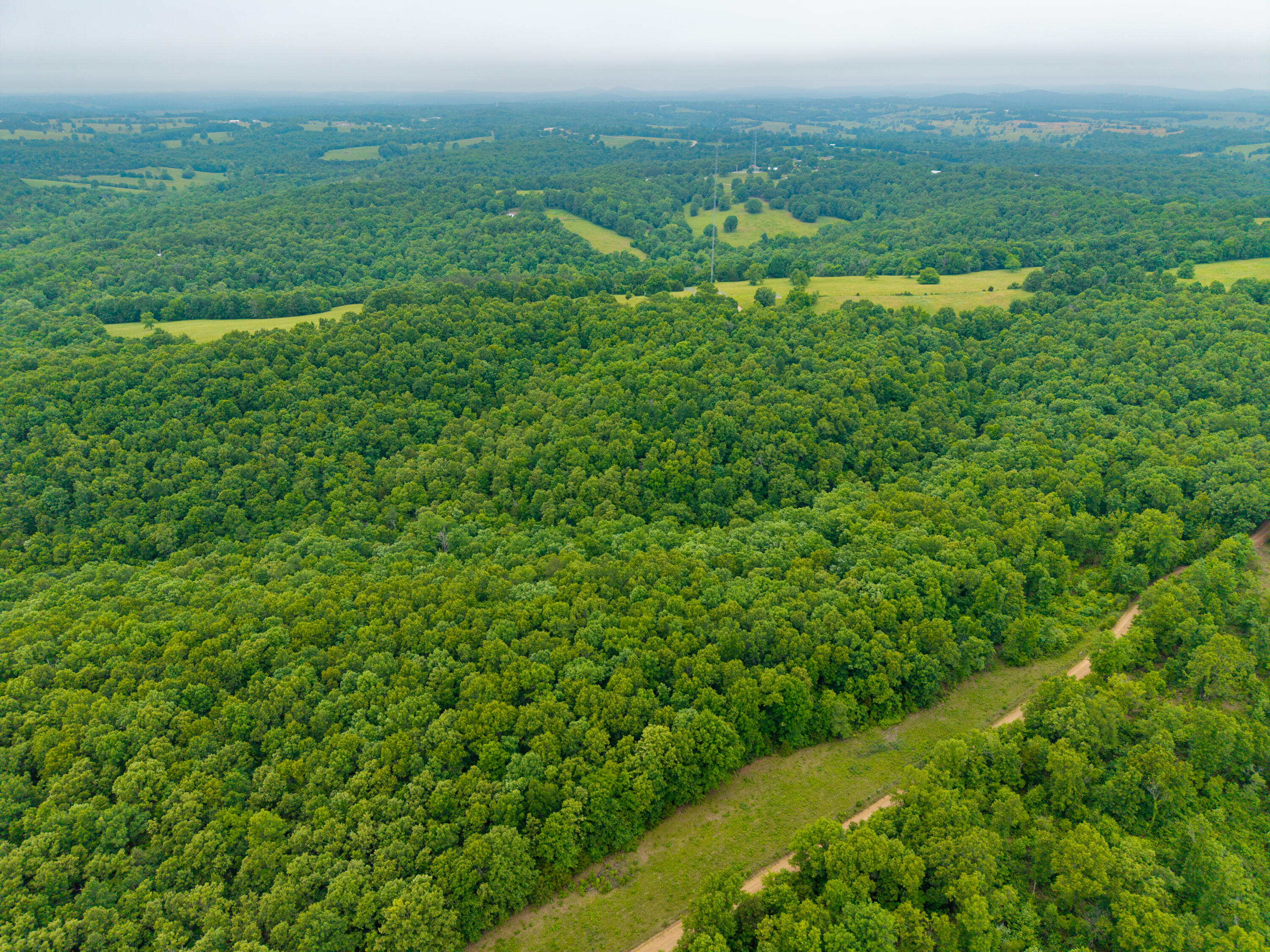 Photo 12 - Land for sale – 000  Co Rd 519   Hardenville, MO