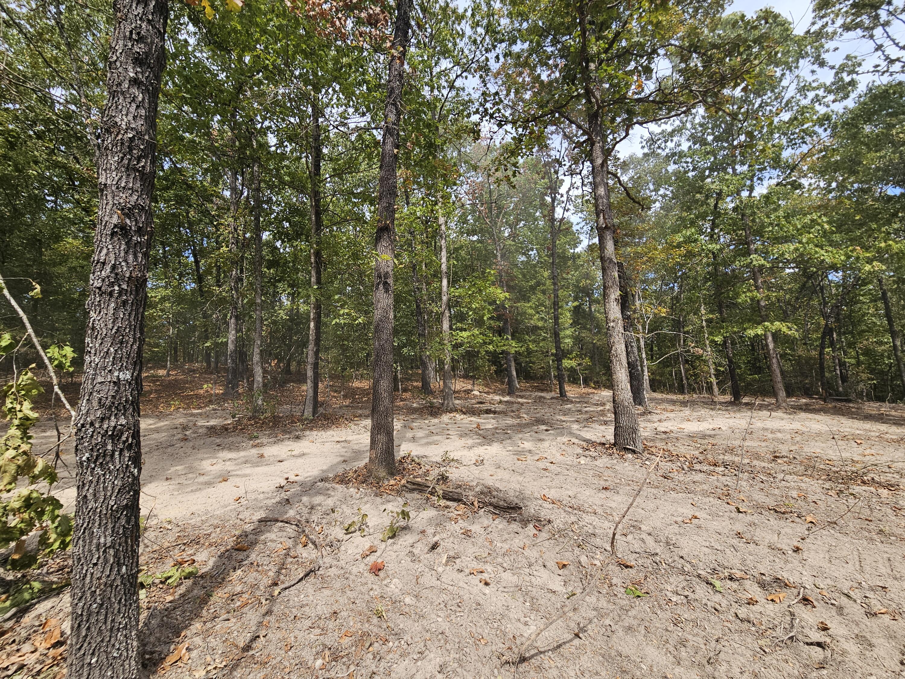 Photo 3 - Land for sale – 000  Co Rd 519   Hardenville, MO