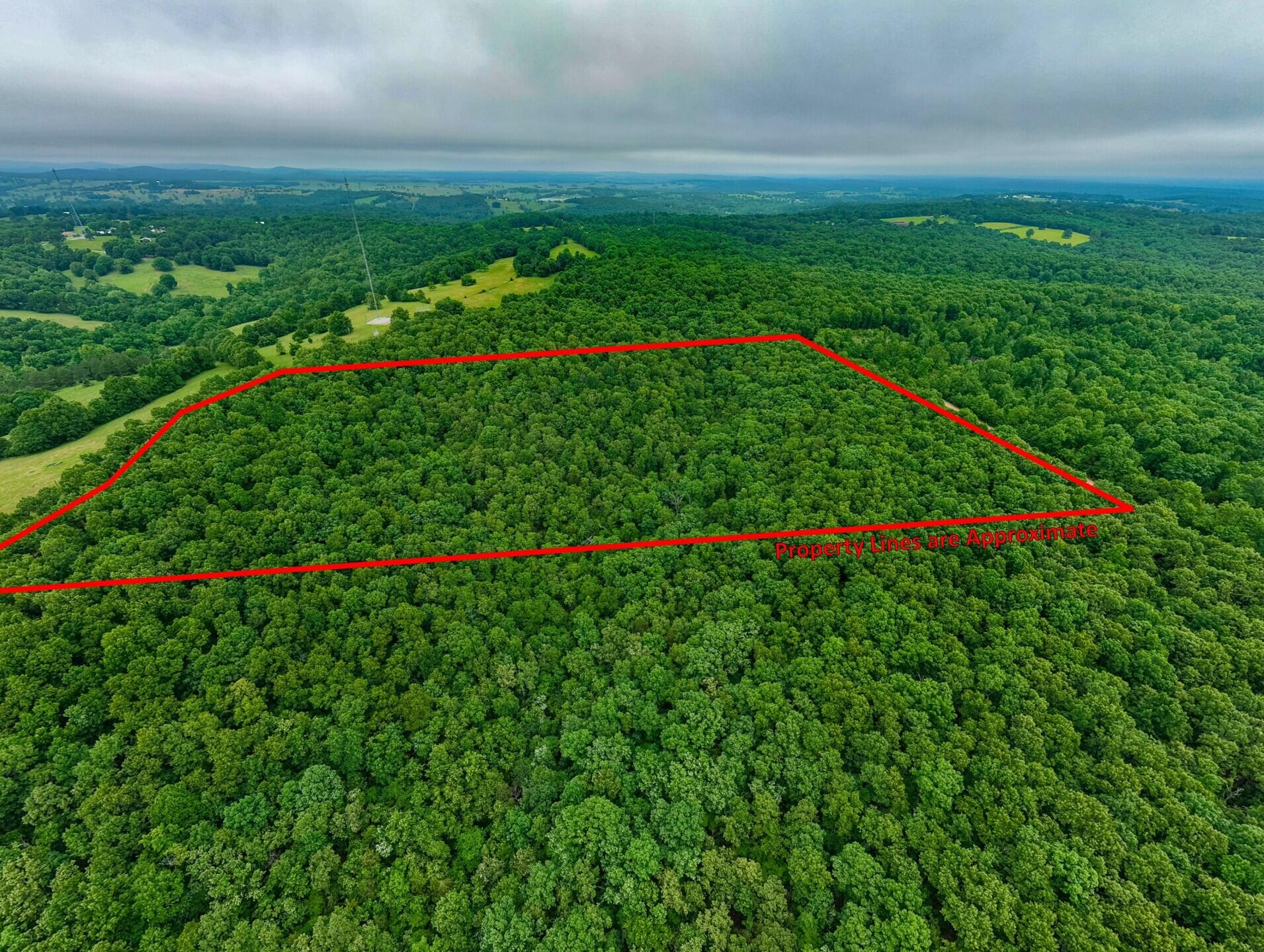 Photo 10 - Land for sale – 000  Co Rd 519   Hardenville, MO