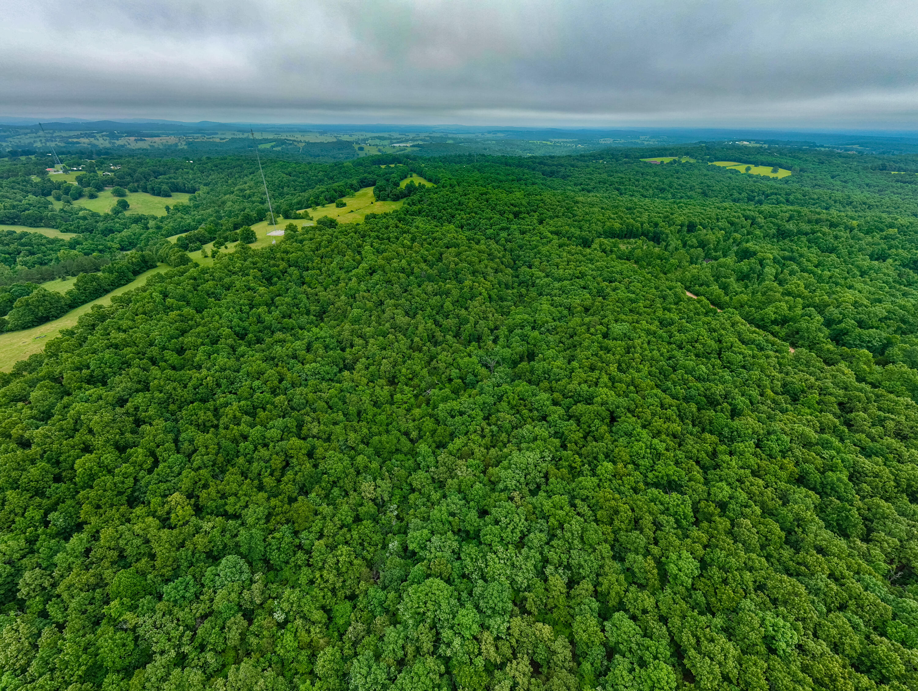 Photo 11 - Land for sale – 000  Co Rd 519   Hardenville, MO