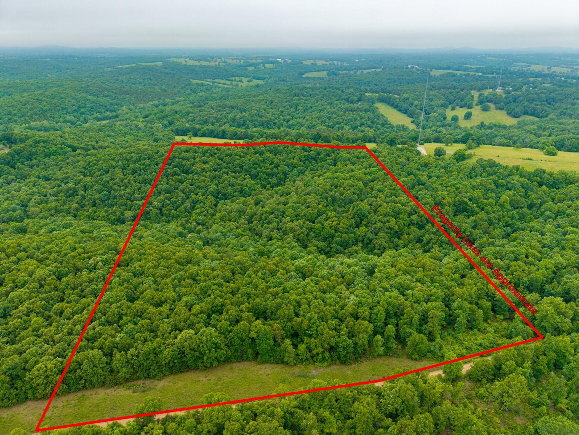 Photo 8 - Land for sale – 000  Co Rd 519   Hardenville, MO