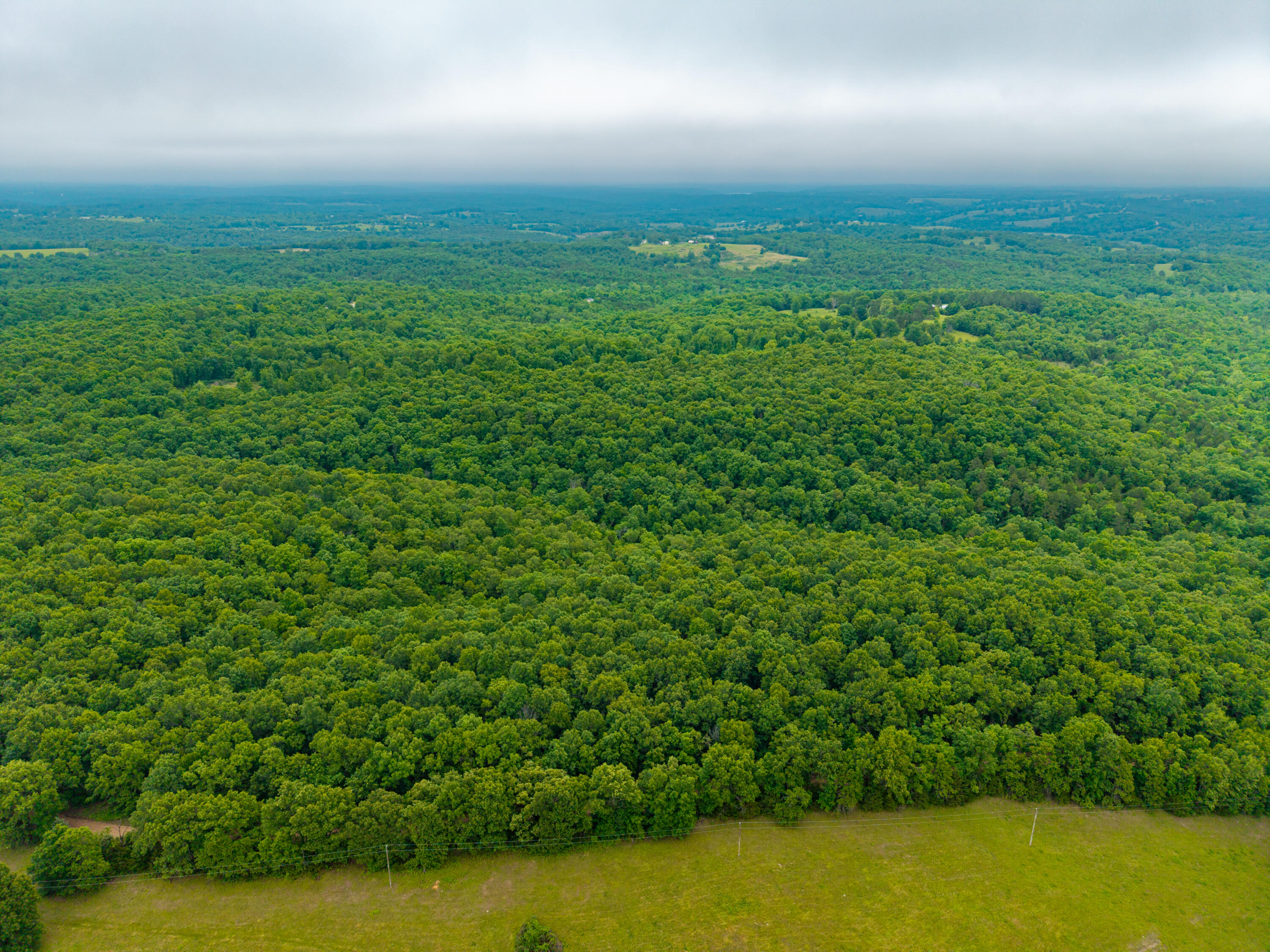Photo 5 - Land for sale – 000  Co Rd 519   Hardenville, MO
