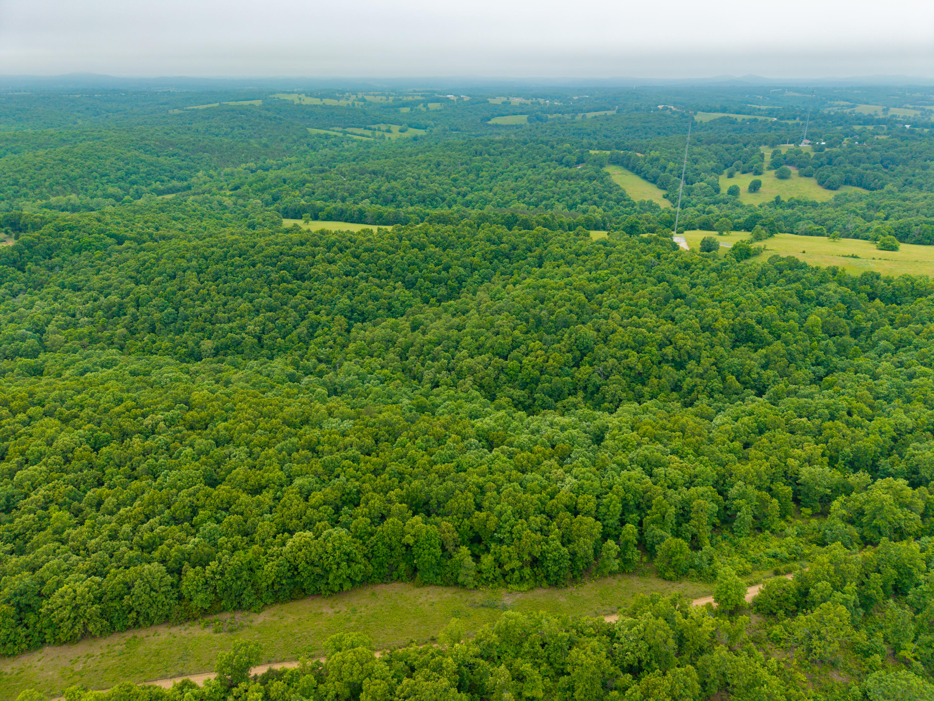 Photo 9 - Land for sale – 000  Co Rd 519   Hardenville, MO