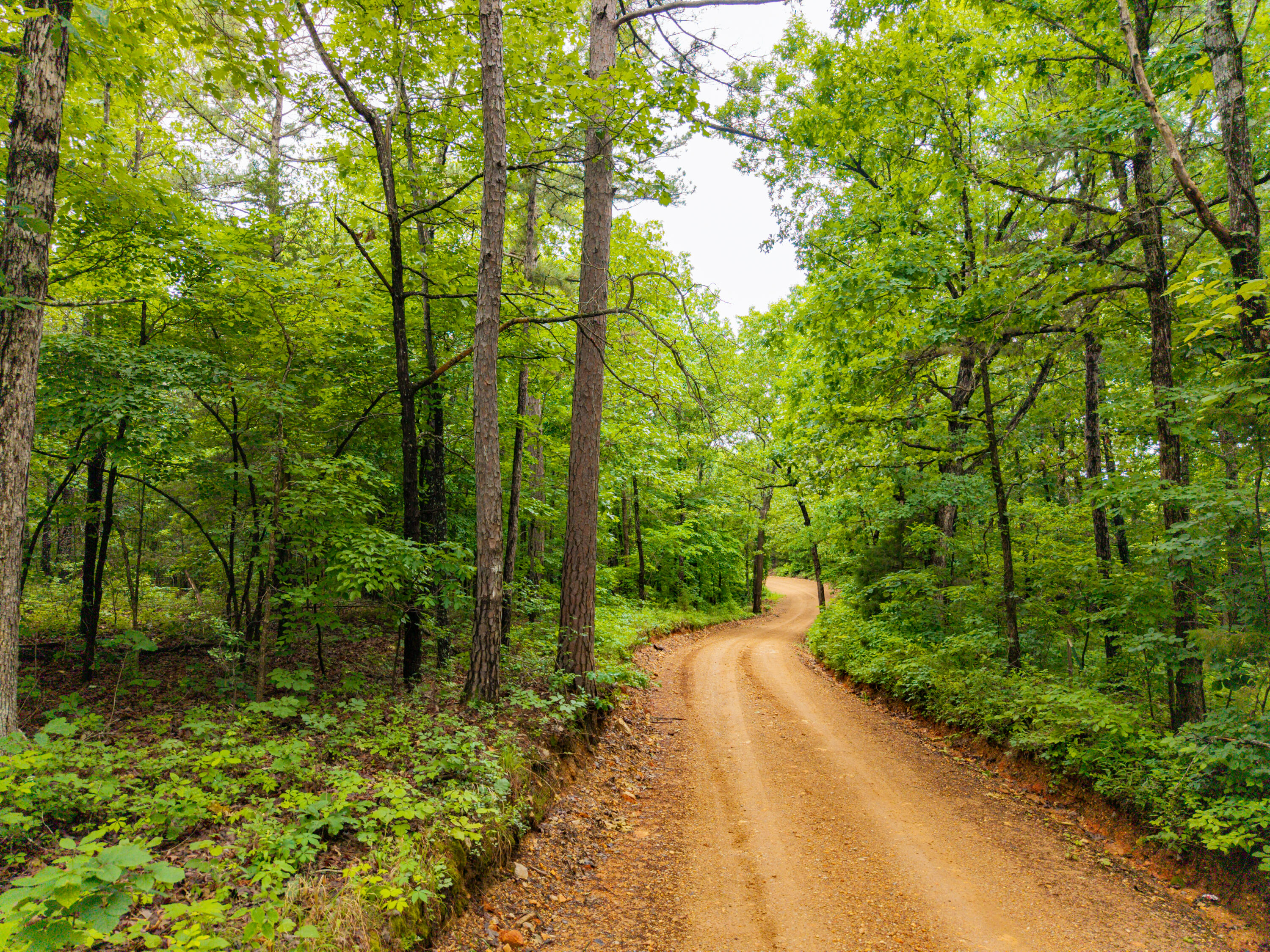 Photo 19 - Land for sale – 000  Co Rd 519   Hardenville, MO