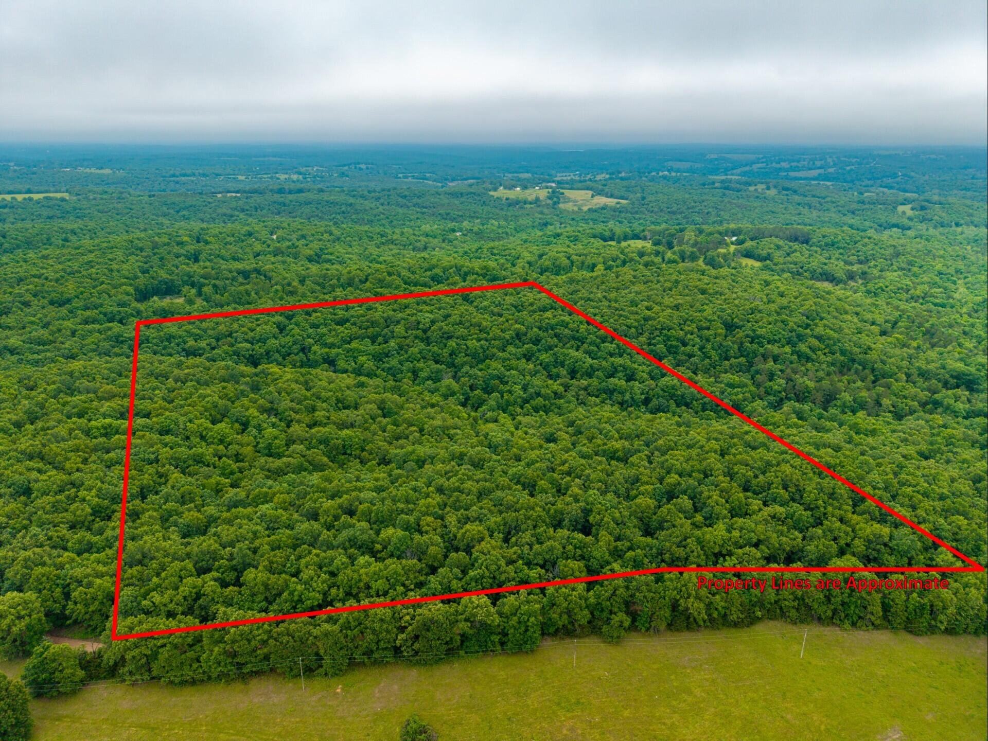 Photo 4 - Land for sale – 000  Co Rd 519   Hardenville, MO