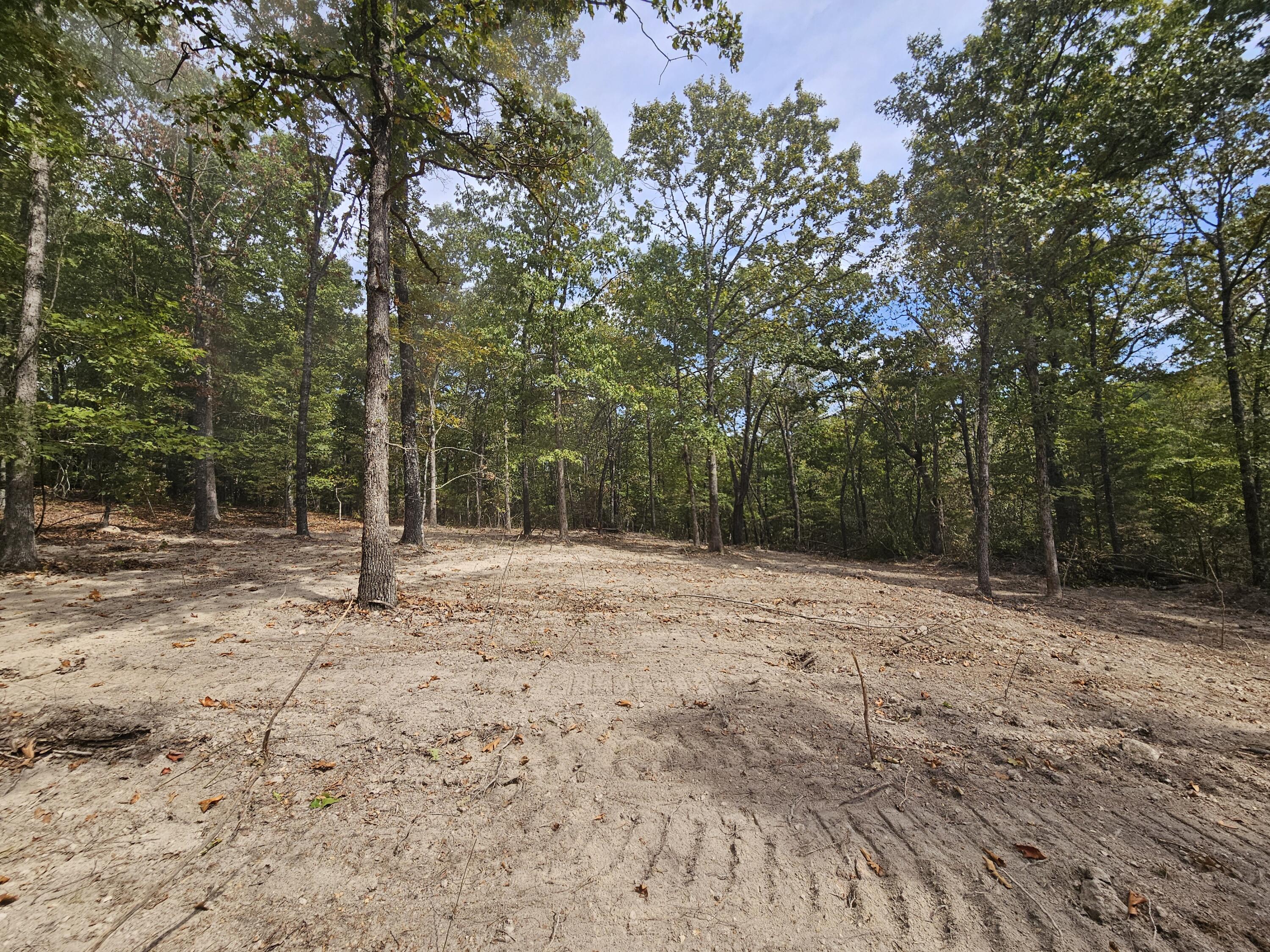 Photo 2 - Land for sale – 000  Co Rd 519   Hardenville, MO
