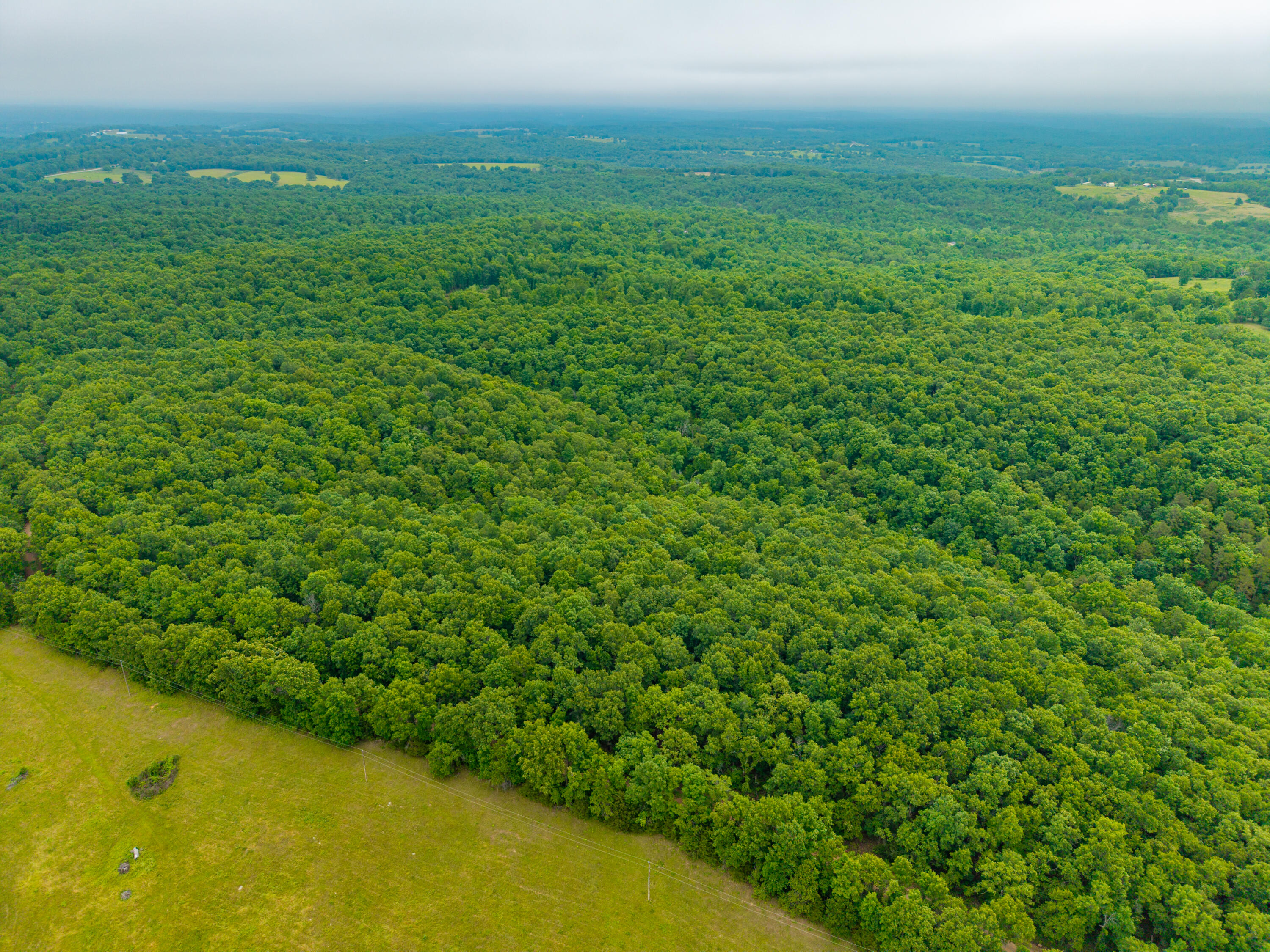 Photo 7 - Land for sale – 000  Co Rd 519   Hardenville, MO