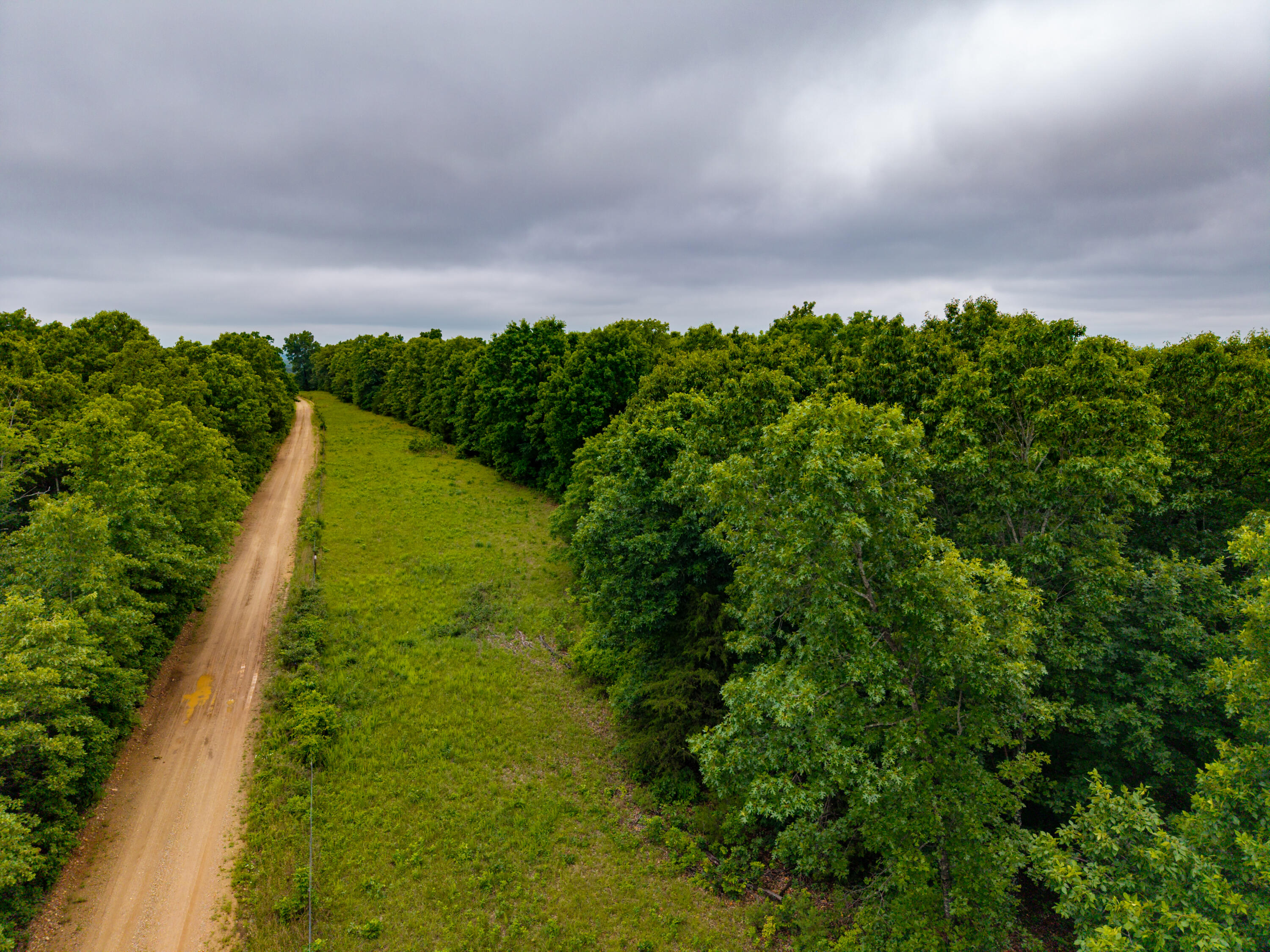 Photo 17 - Land for sale – 000  Co Rd 519   Hardenville, MO